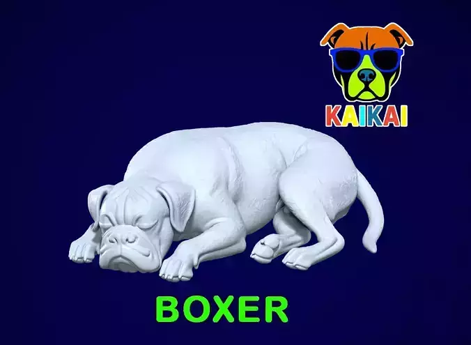 Boxer - dog breed is sleeping- German Boxer model - 3D print