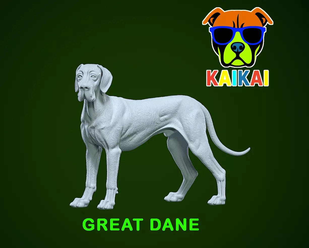 Great Dane dog - German Mastiff model - 3D print 3D print model_0