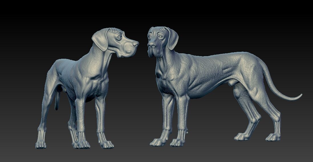 Great Dane dog - German Mastiff model - 3D print 3D print model_2