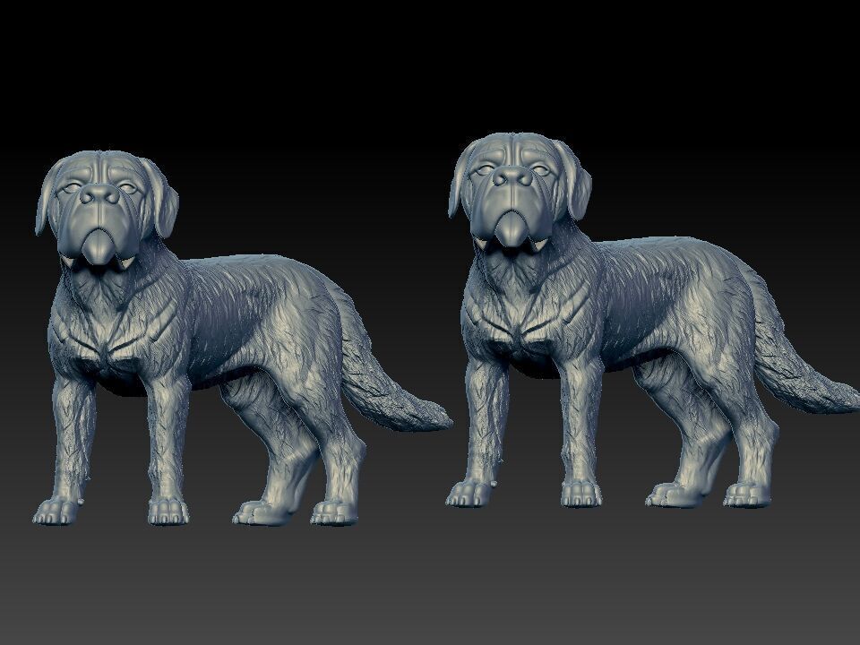 St Bernard - Saint Bernard model - 3D print 3D print model_2