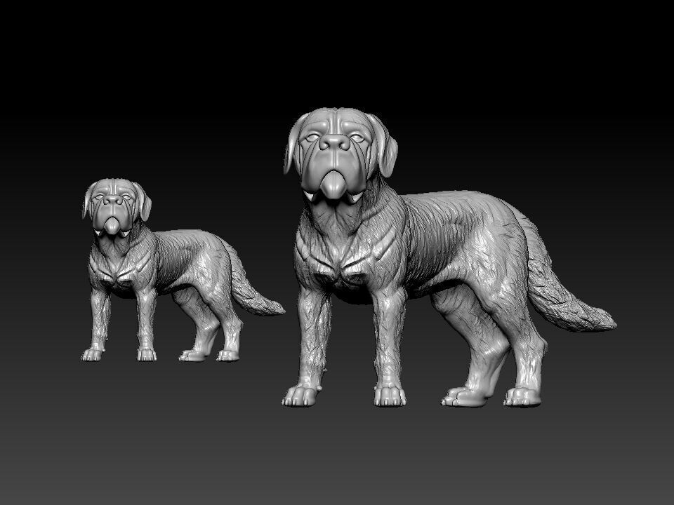 St Bernard - Saint Bernard model - 3D print 3D print model_1