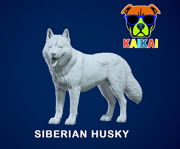 Siberian Husky - Chukcha model - 3D print 3D print model