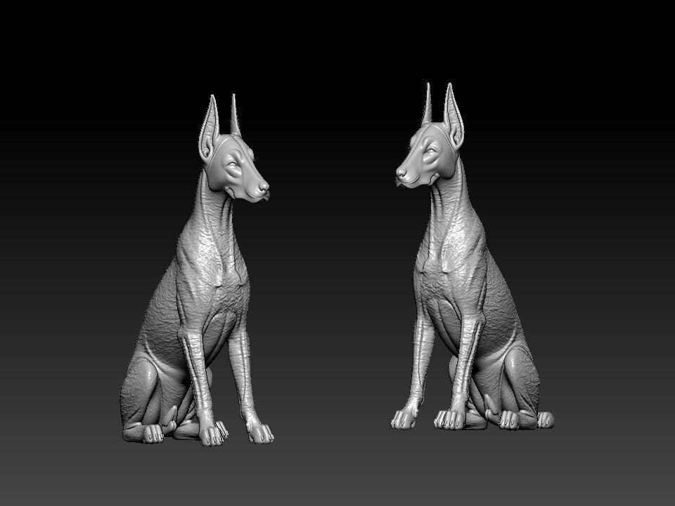 Dobermann - Doberman Pinscher model - 3D PRINT 3D print model_1