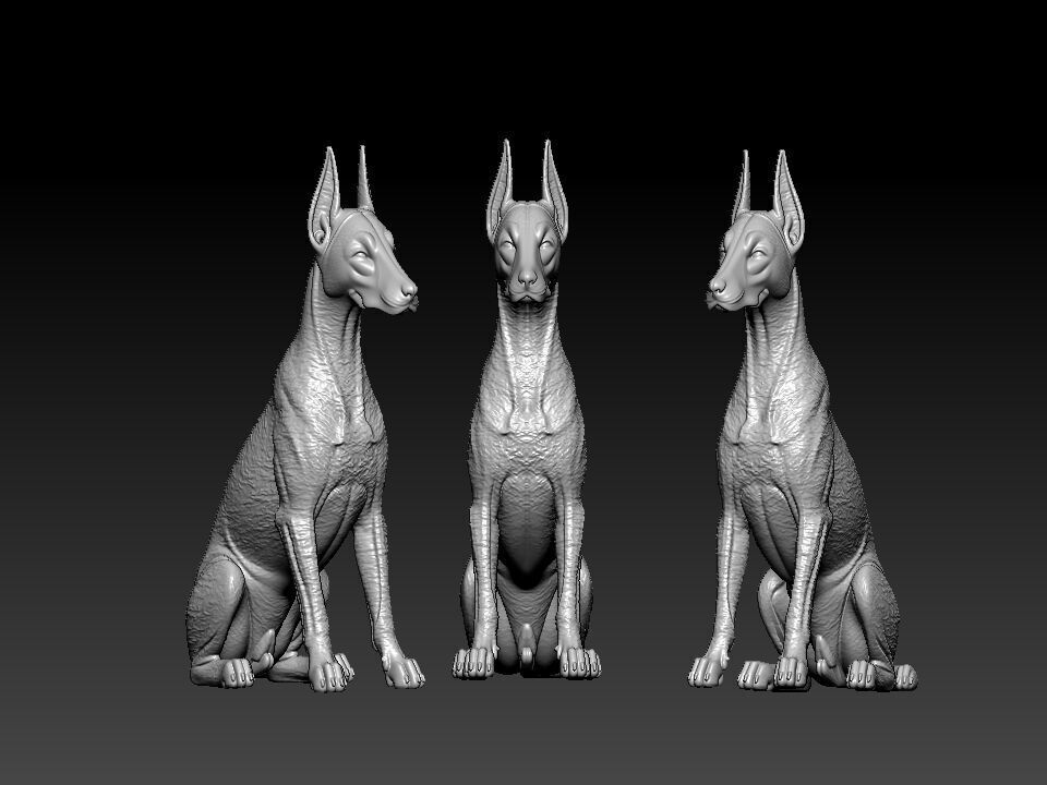 Dobermann - Doberman Pinscher model - 3D PRINT 3D print model_2