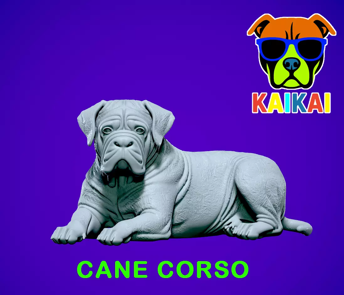 Cane Corso lying - English Mastiff model - 3D print 3D print model_0