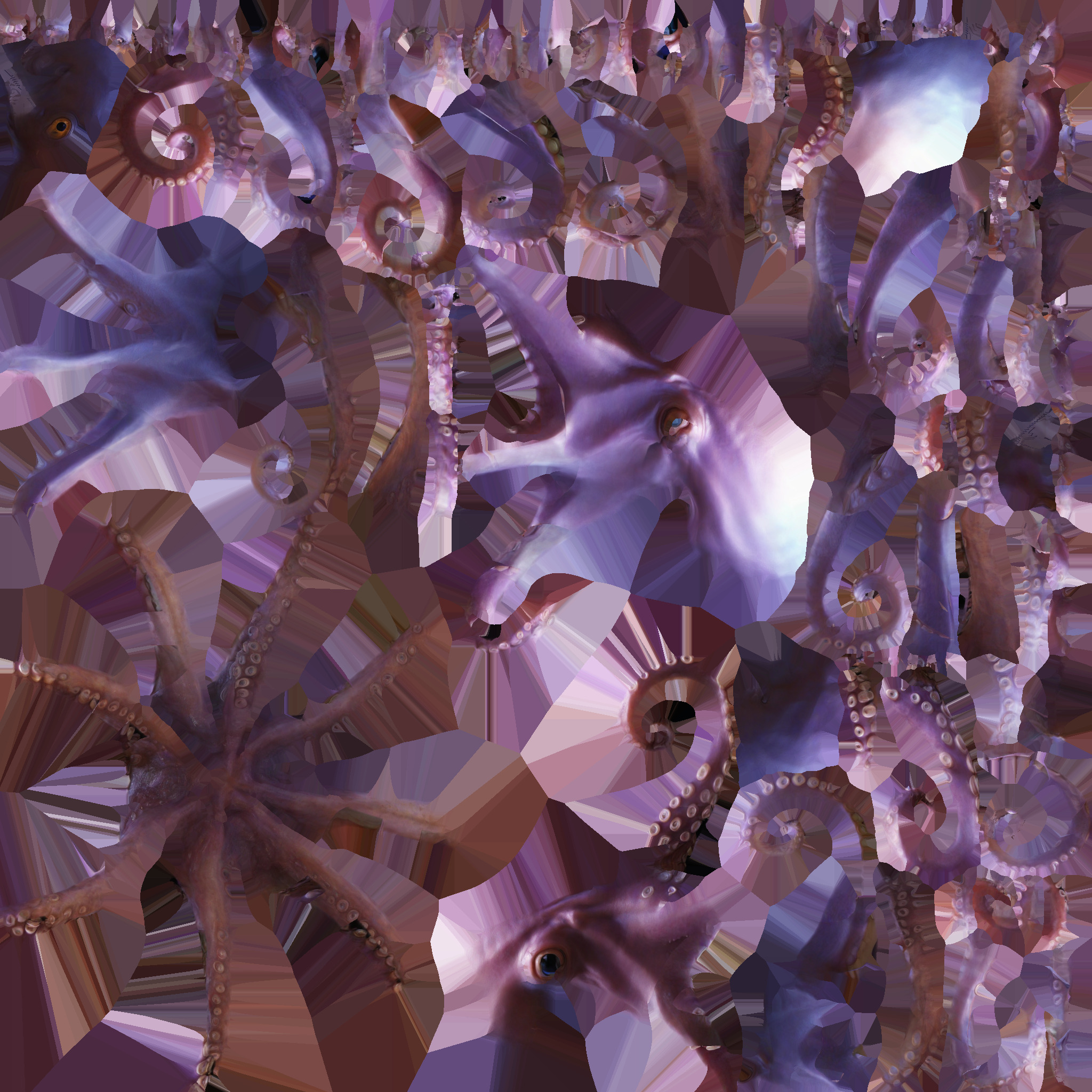 3d Render Tropical Octopas Life In The Underwater Ocean 3D model_9