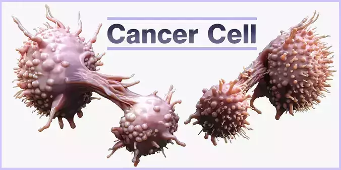Cancer Cell 