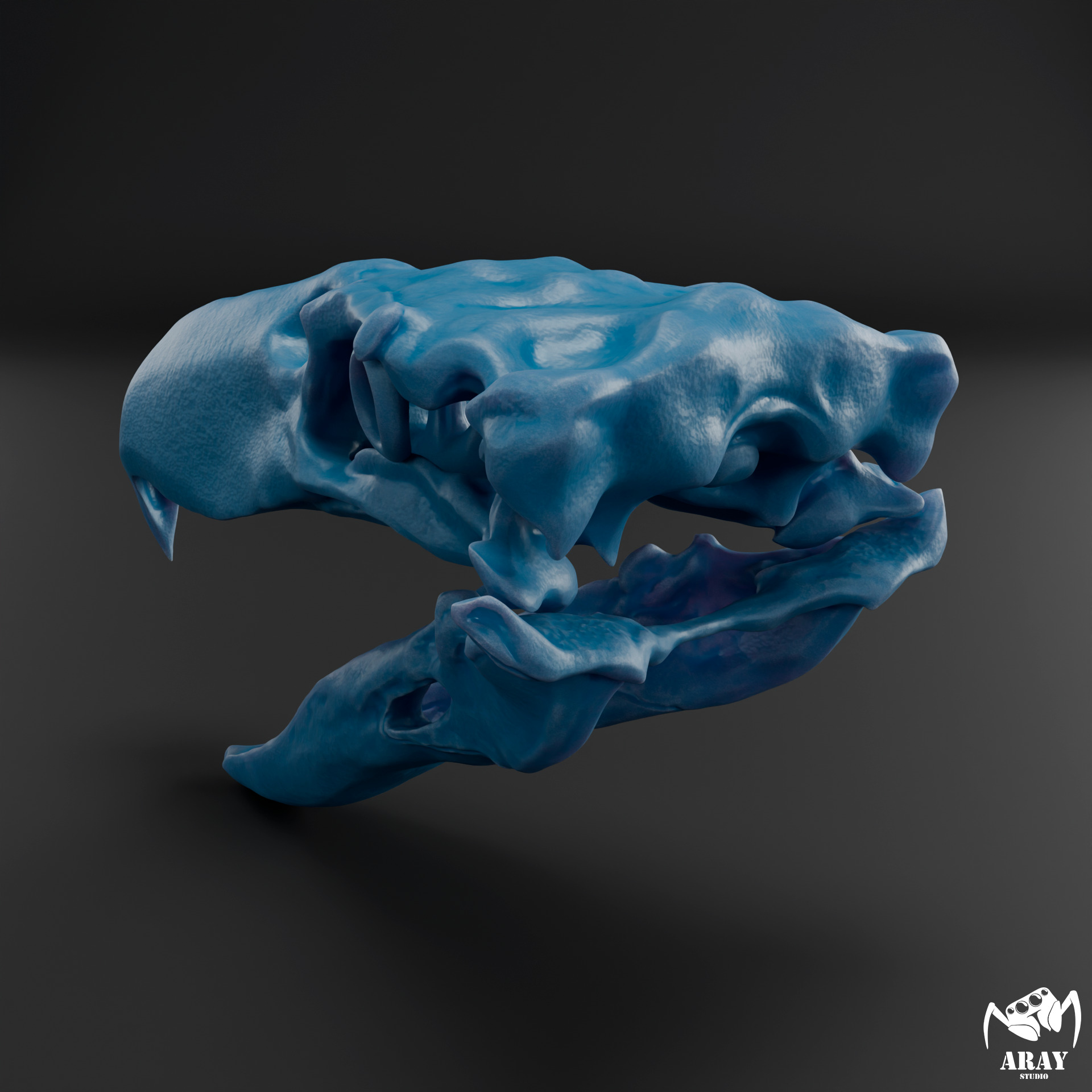 Kelenken guillermoi - terror bird skull 3D print model_10