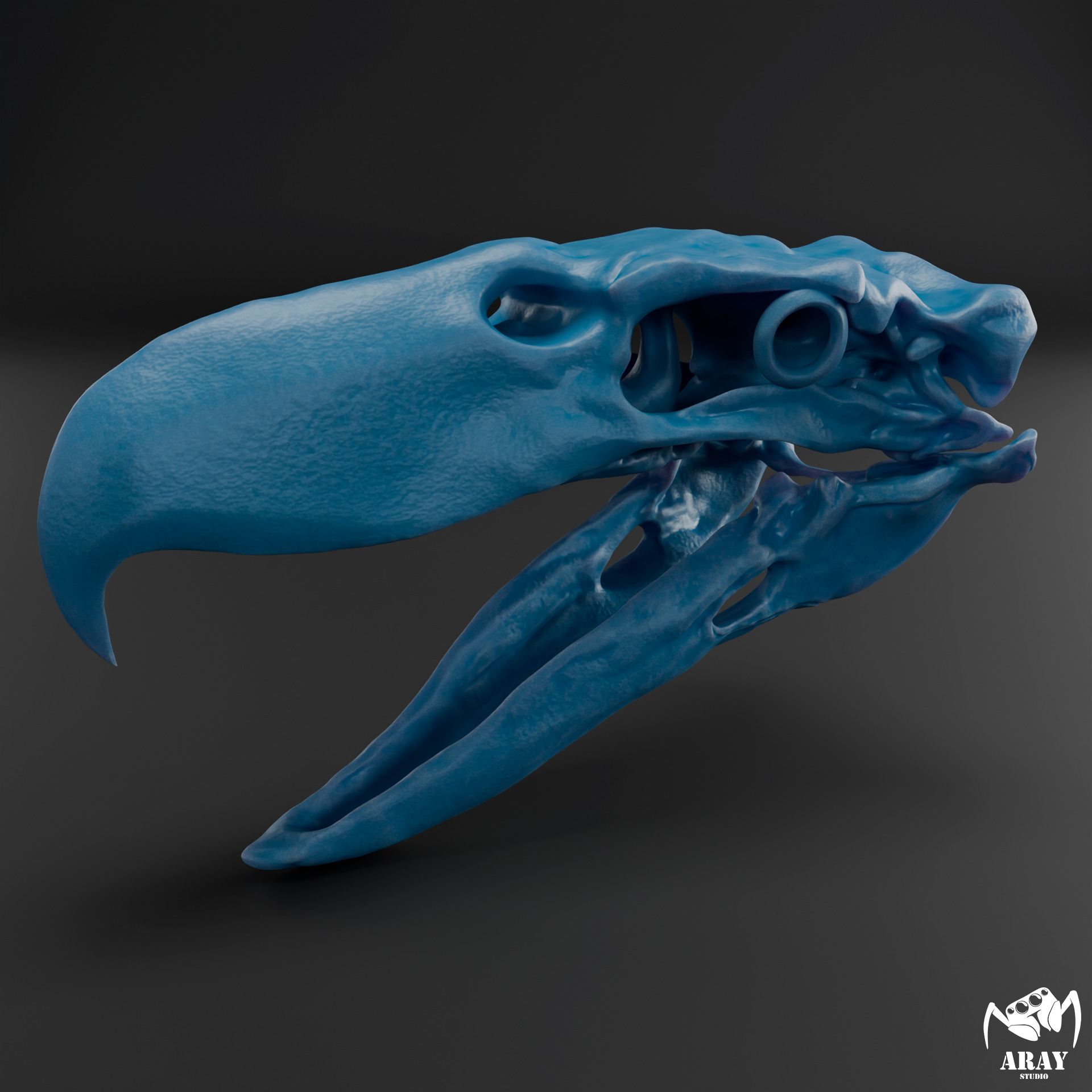 Kelenken guillermoi - terror bird skull 3D print model_8