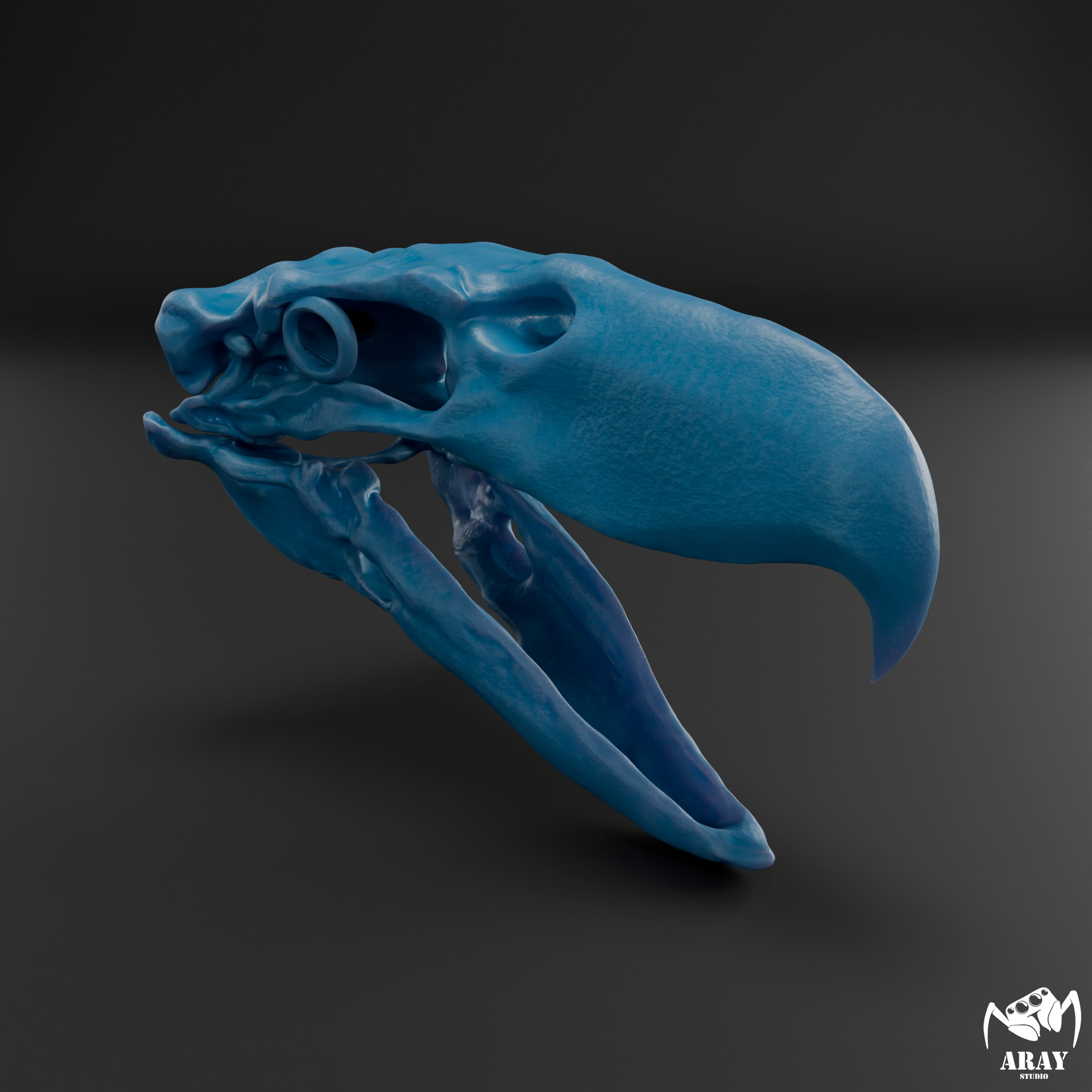Kelenken guillermoi - terror bird skull 3D print model_6