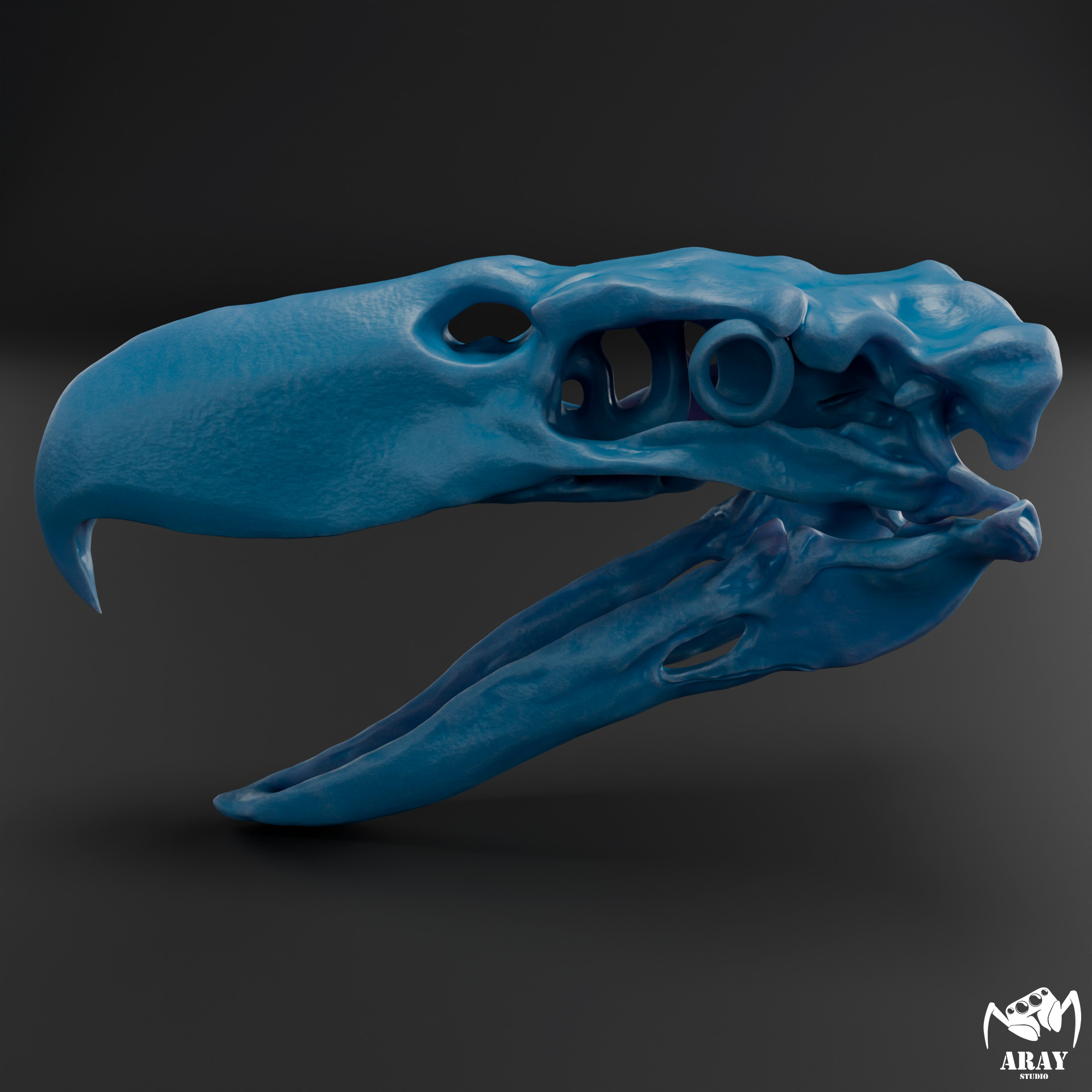 Kelenken guillermoi - terror bird skull 3D print model_9