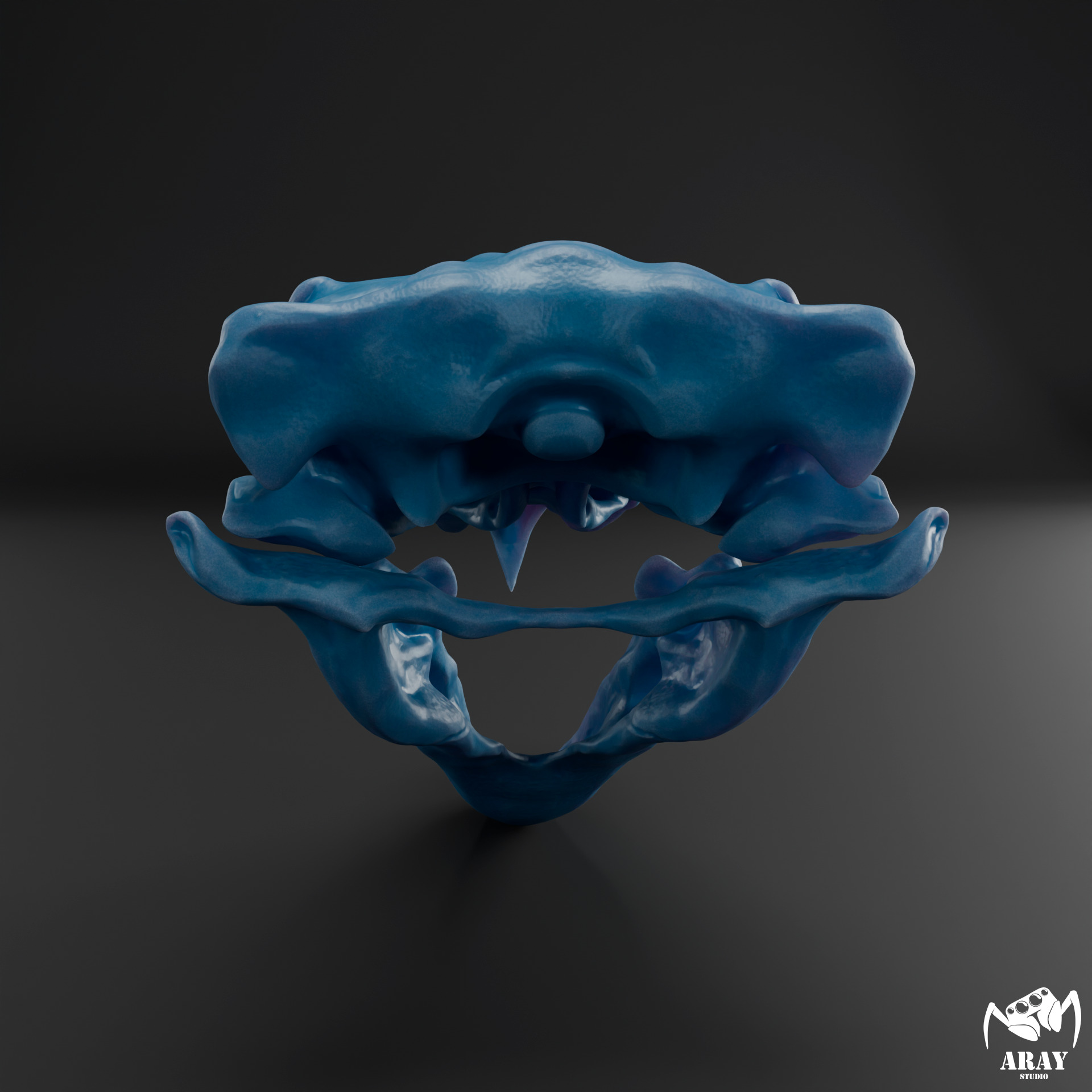 Kelenken guillermoi - terror bird skull 3D print model_11