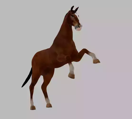 Rigged and Animated Brown Horse