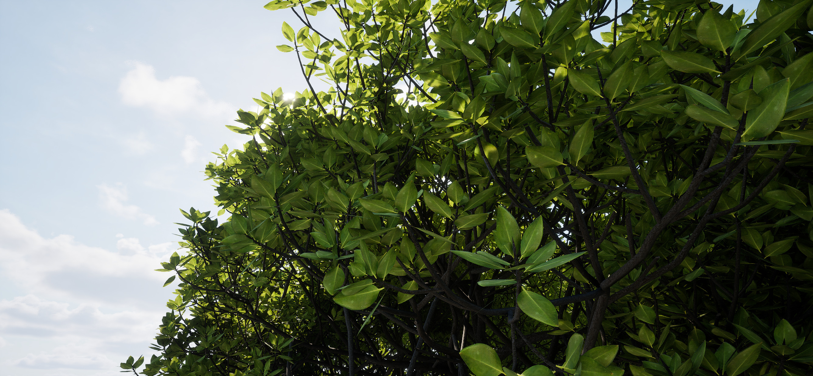 Full Geometry Mangrove Trees for Nanite Low-poly 3D model_3