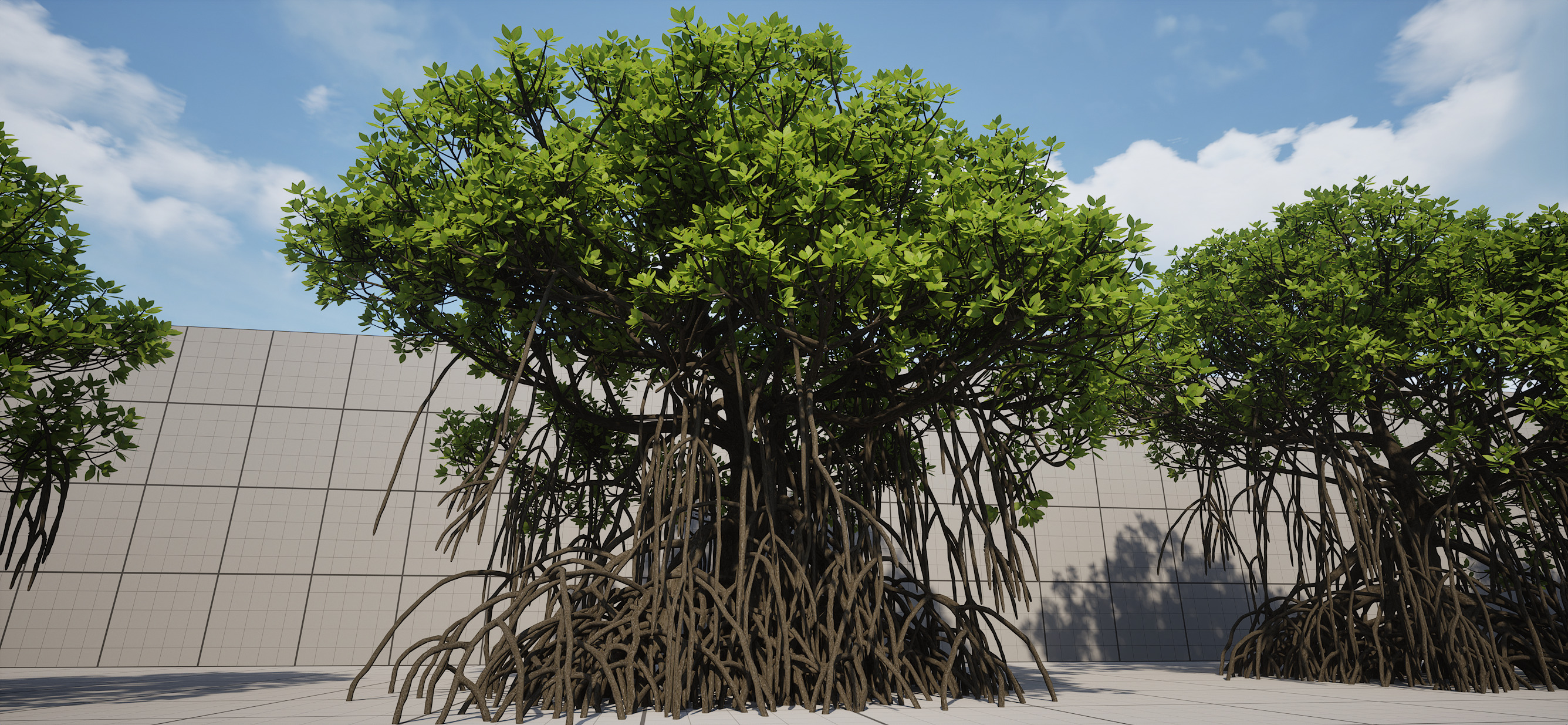 Full Geometry Mangrove Trees for Nanite Low-poly 3D model_2