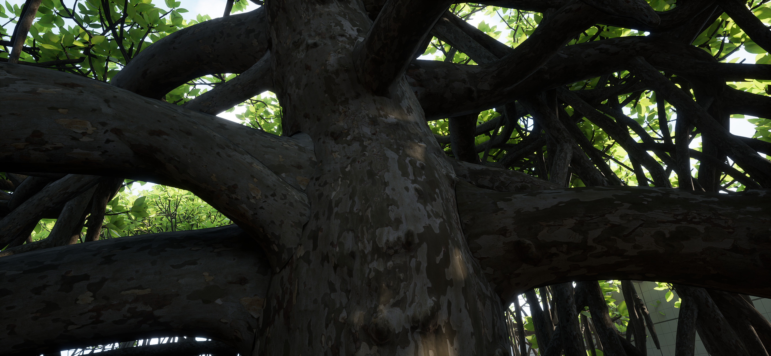 Full Geometry Mangrove Trees for Nanite Low-poly 3D model_5