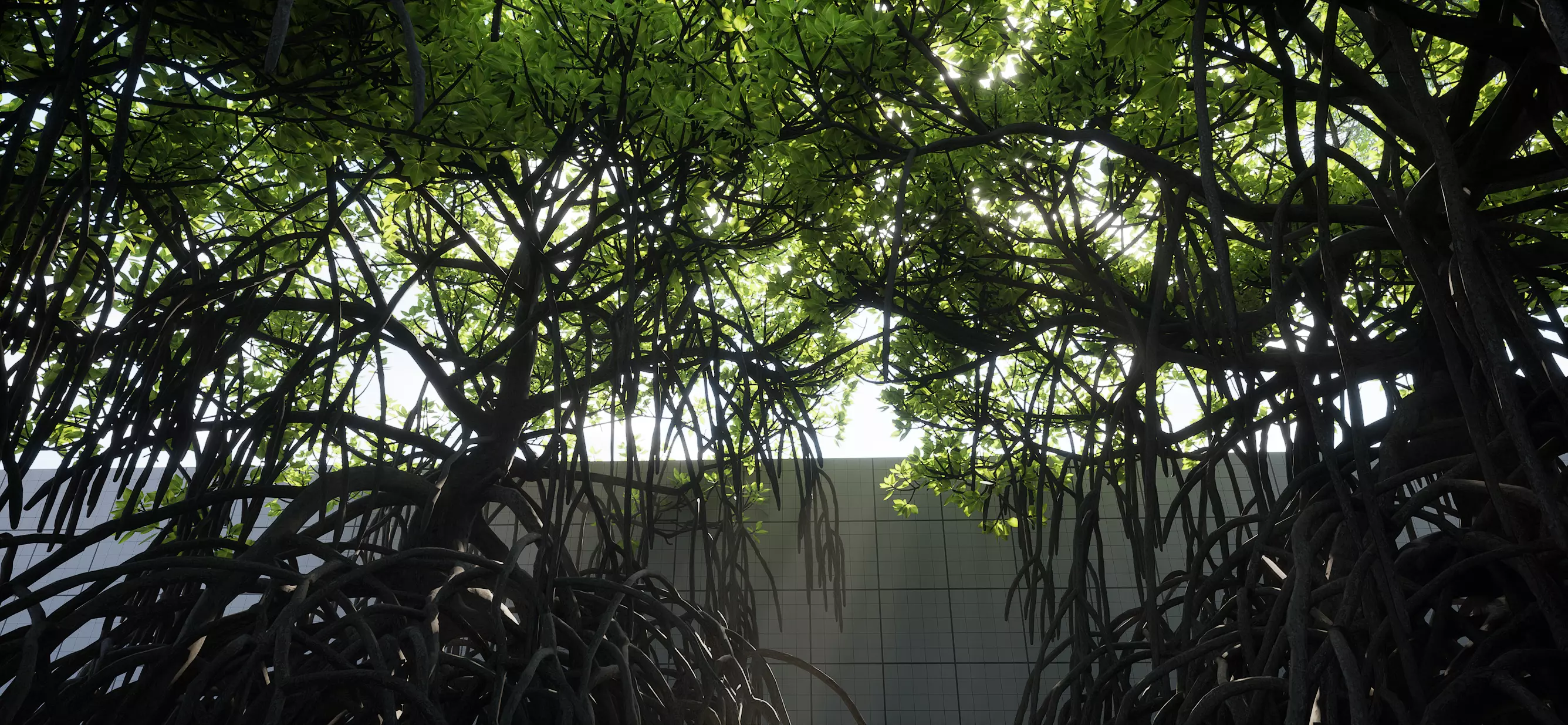 Full Geometry Mangrove Trees for Nanite Low-poly 3D model_0