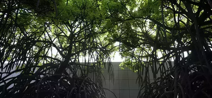 Full Geometry Mangrove Trees for Nanite Low-poly 3D model