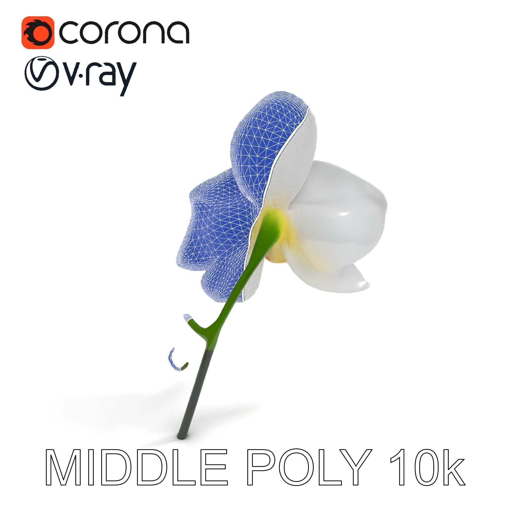 Elegant Orchid Flower D Model Pack Low-poly 3D model_21