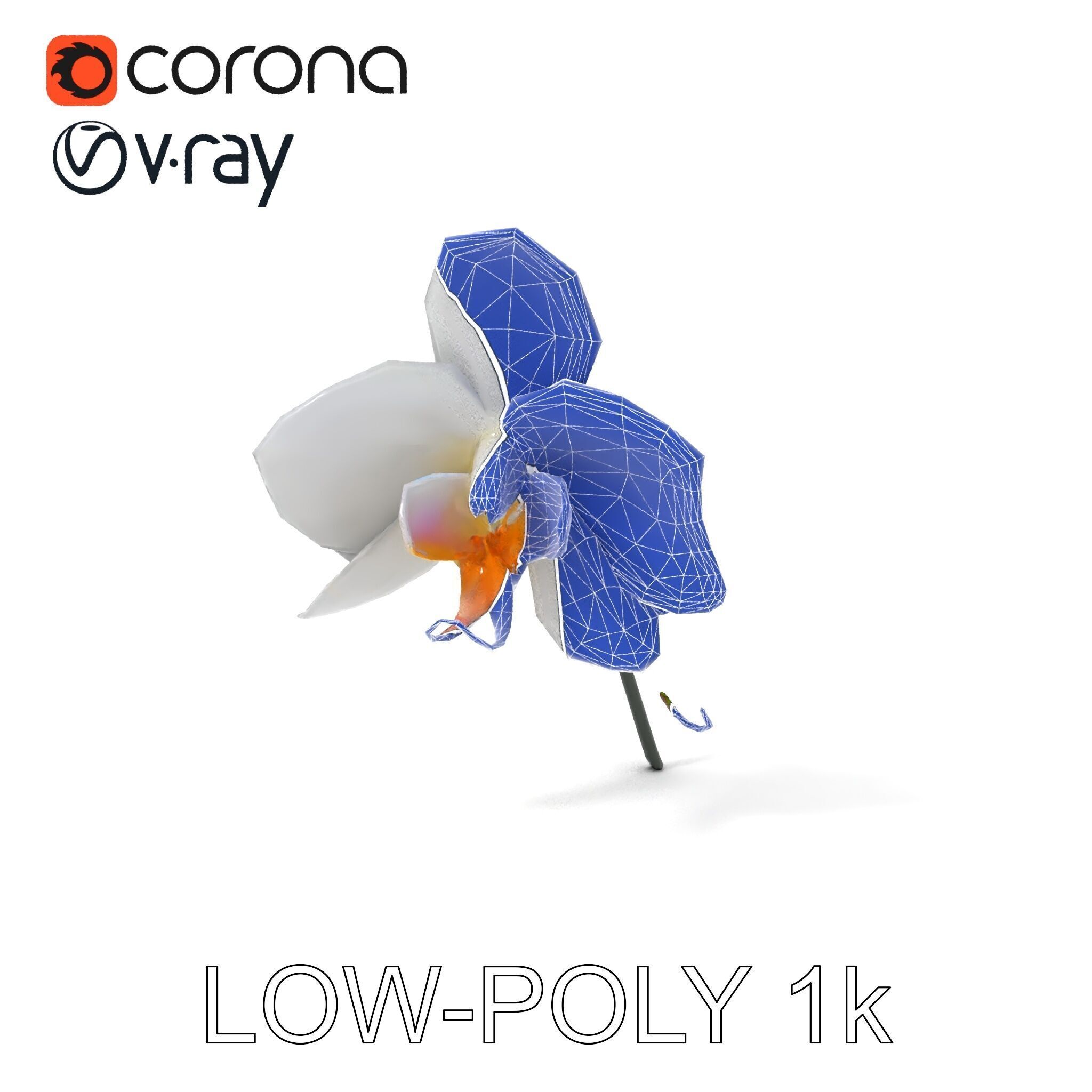 Elegant Orchid Flower D Model Pack Low-poly 3D model_30