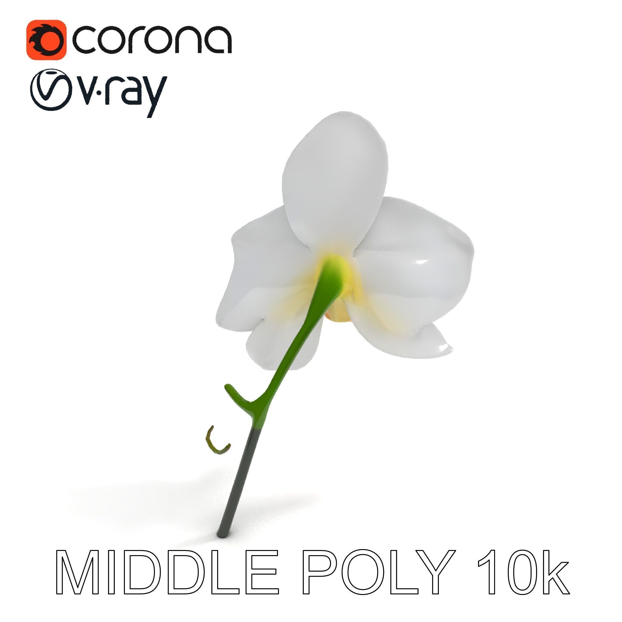 Elegant Orchid Flower D Model Pack Low-poly 3D model_18