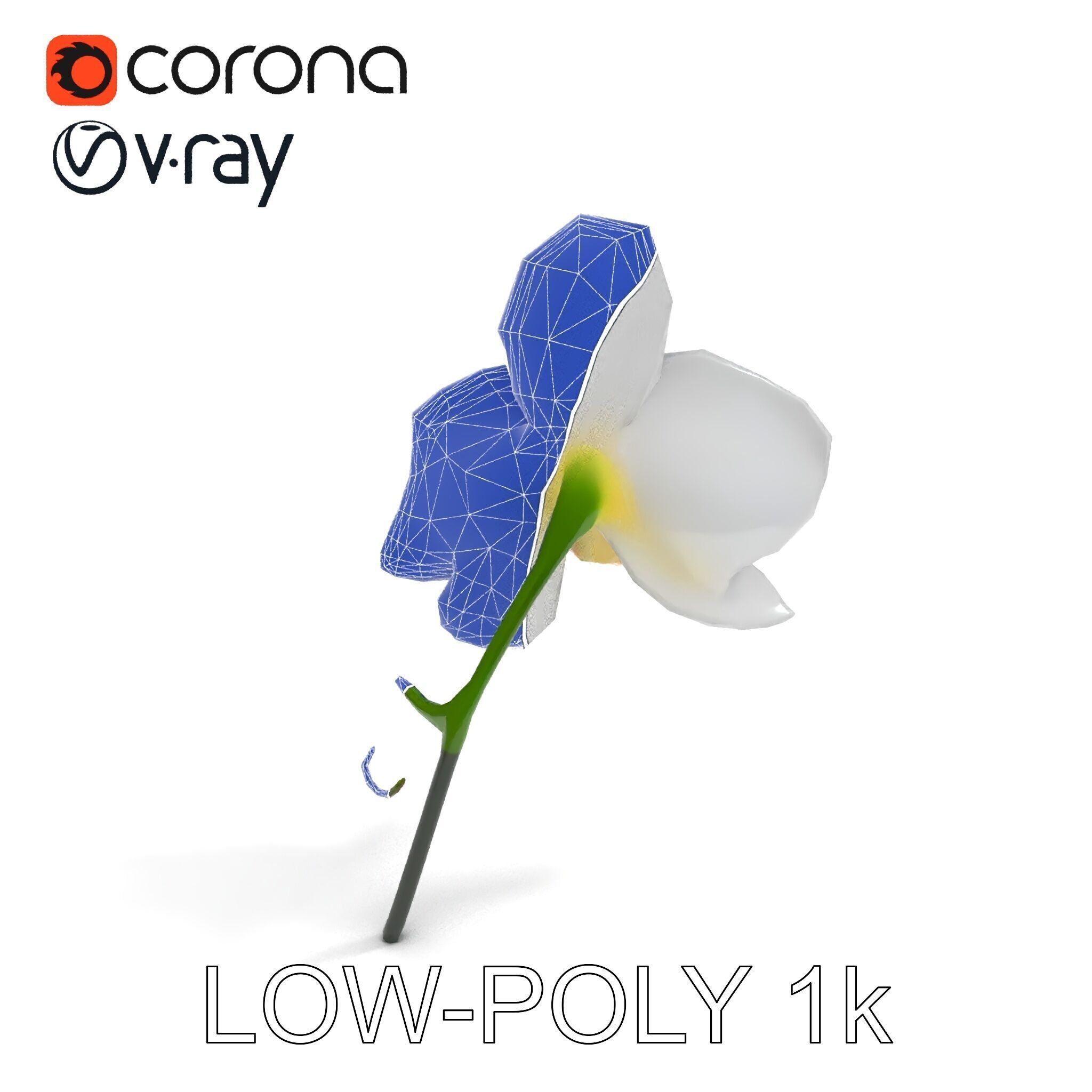 Elegant Orchid Flower D Model Pack Low-poly 3D model_14