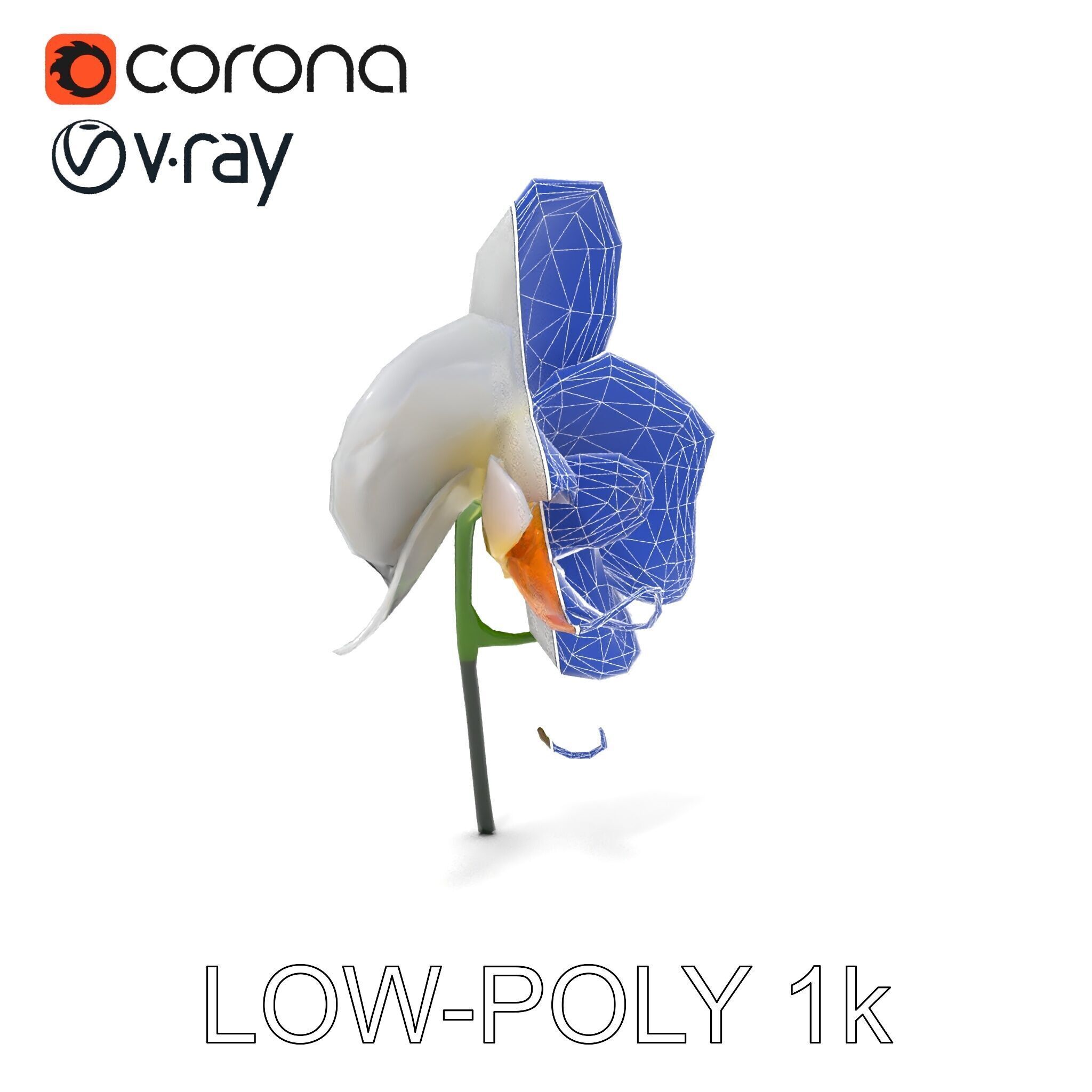 Elegant Orchid Flower D Model Pack Low-poly 3D model_27