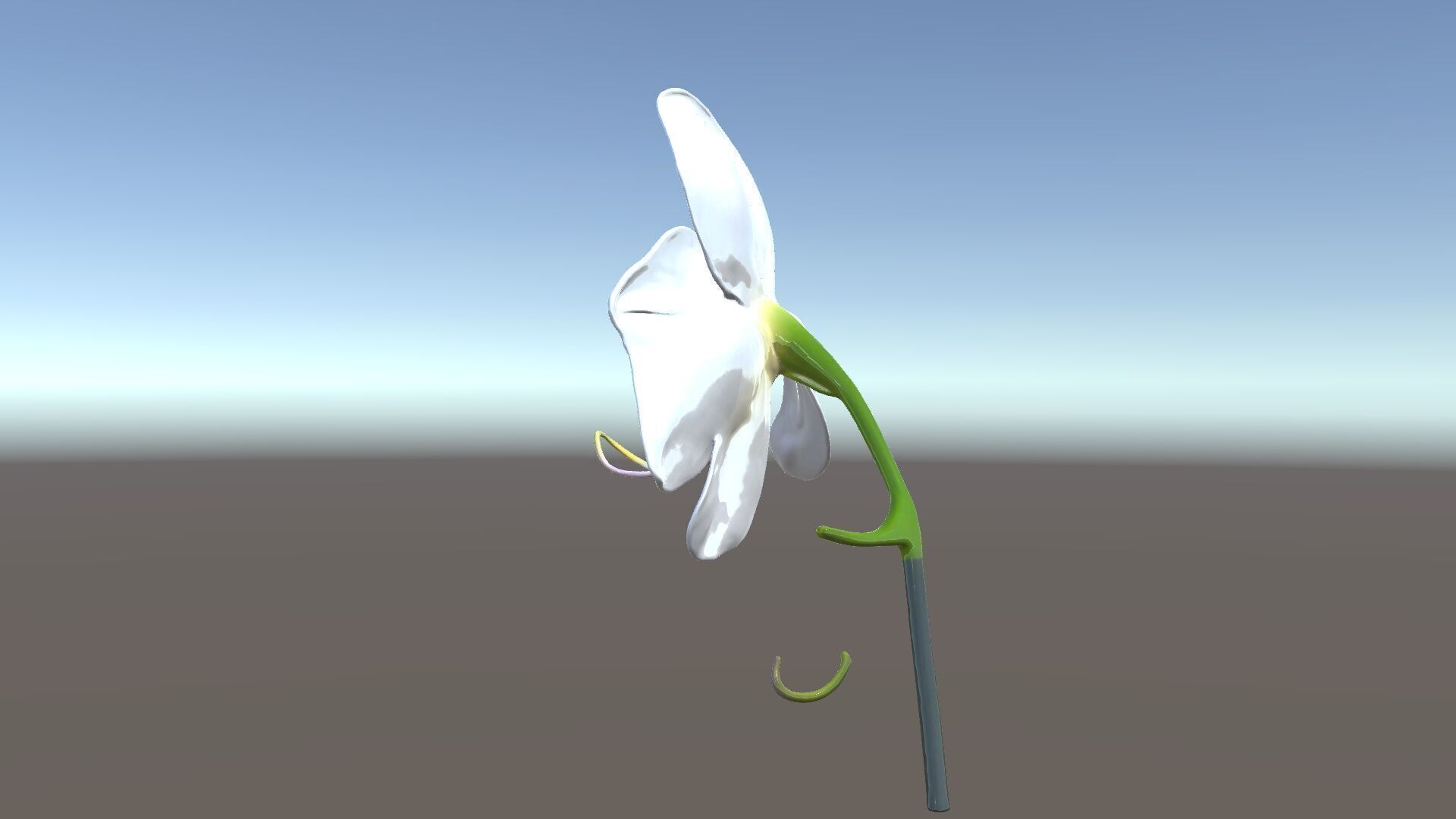 Elegant Orchid Flower D Model Pack Low-poly 3D model_5