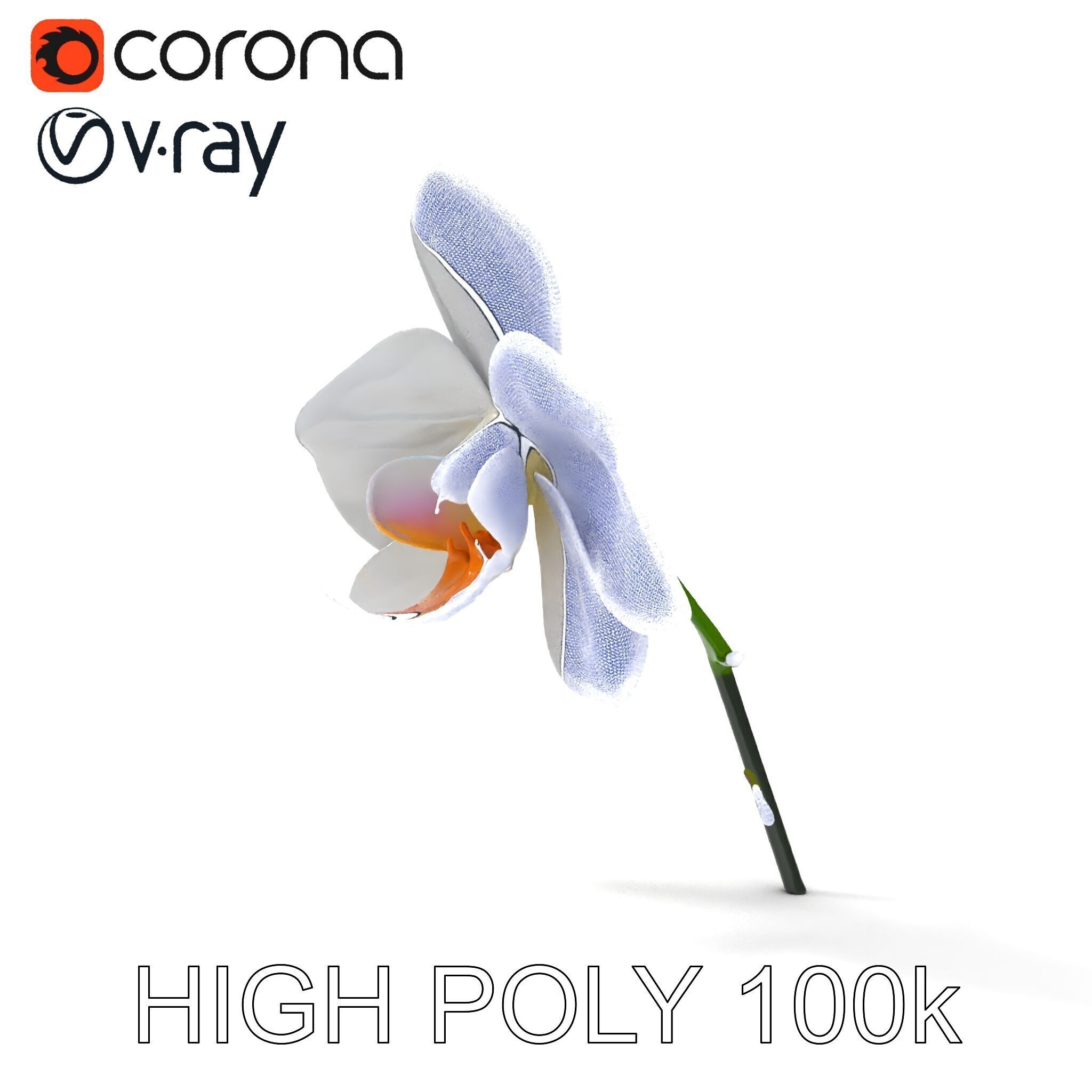 Elegant Orchid Flower D Model Pack Low-poly 3D model_31