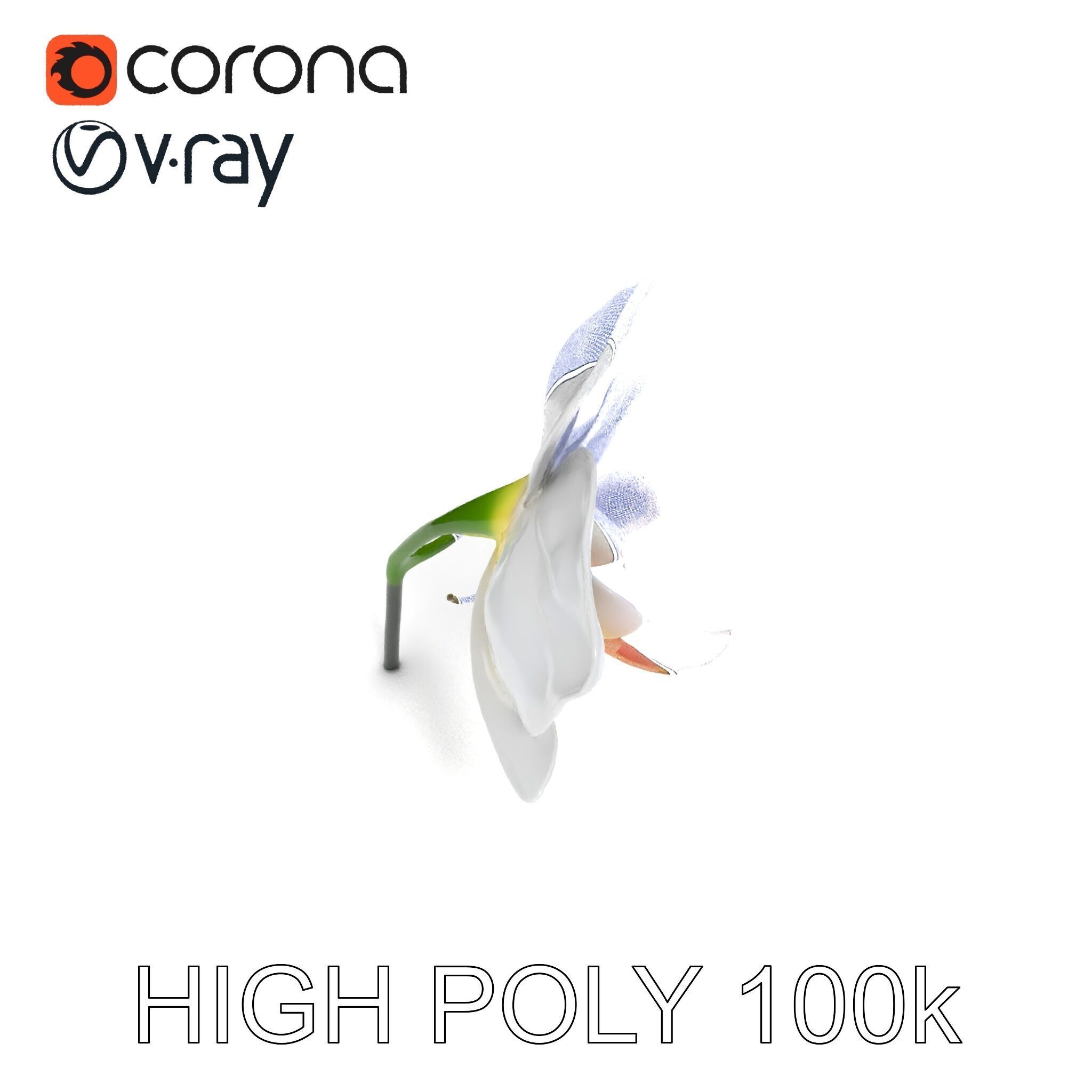 Elegant Orchid Flower D Model Pack Low-poly 3D model_8