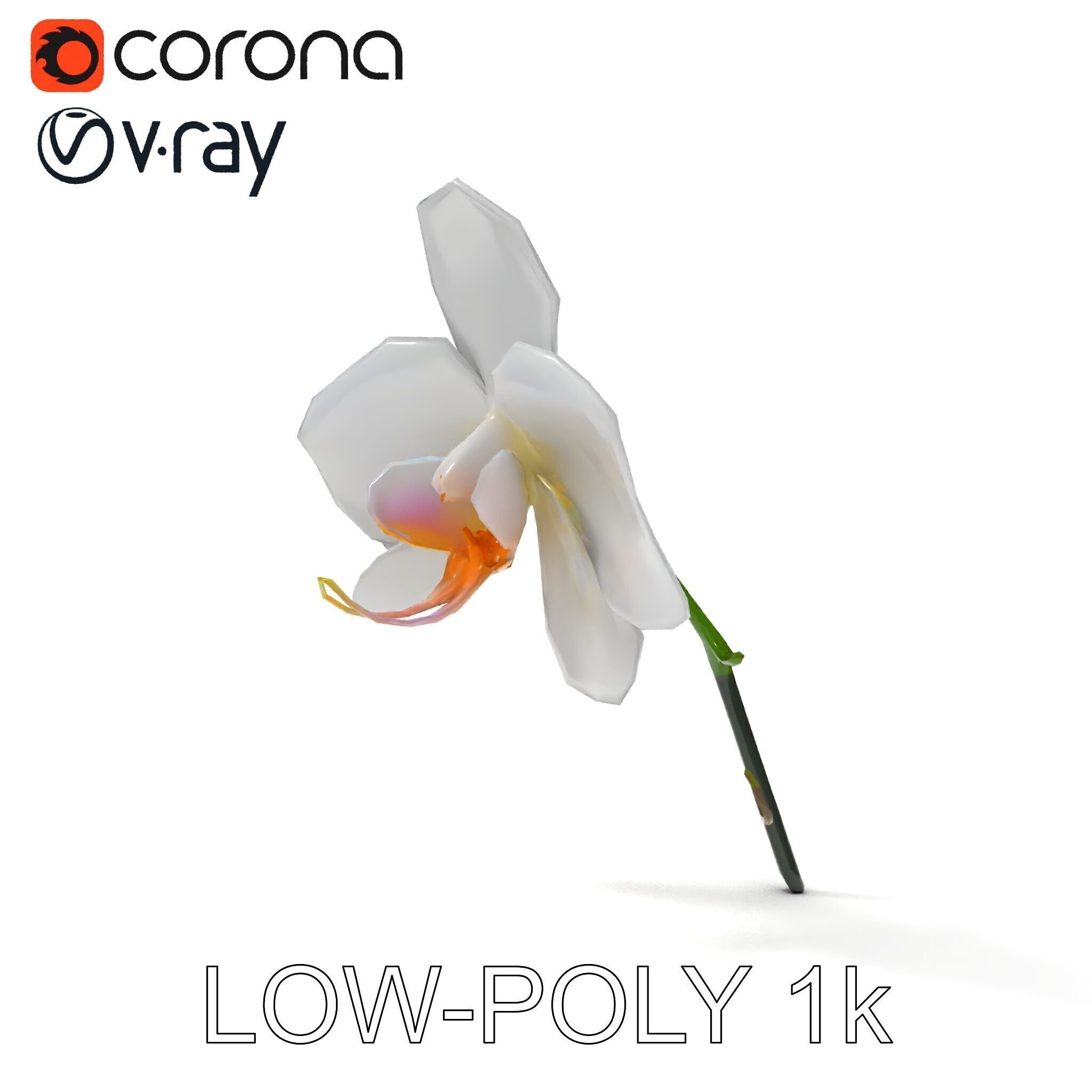 Elegant Orchid Flower D Model Pack Low-poly 3D model_7