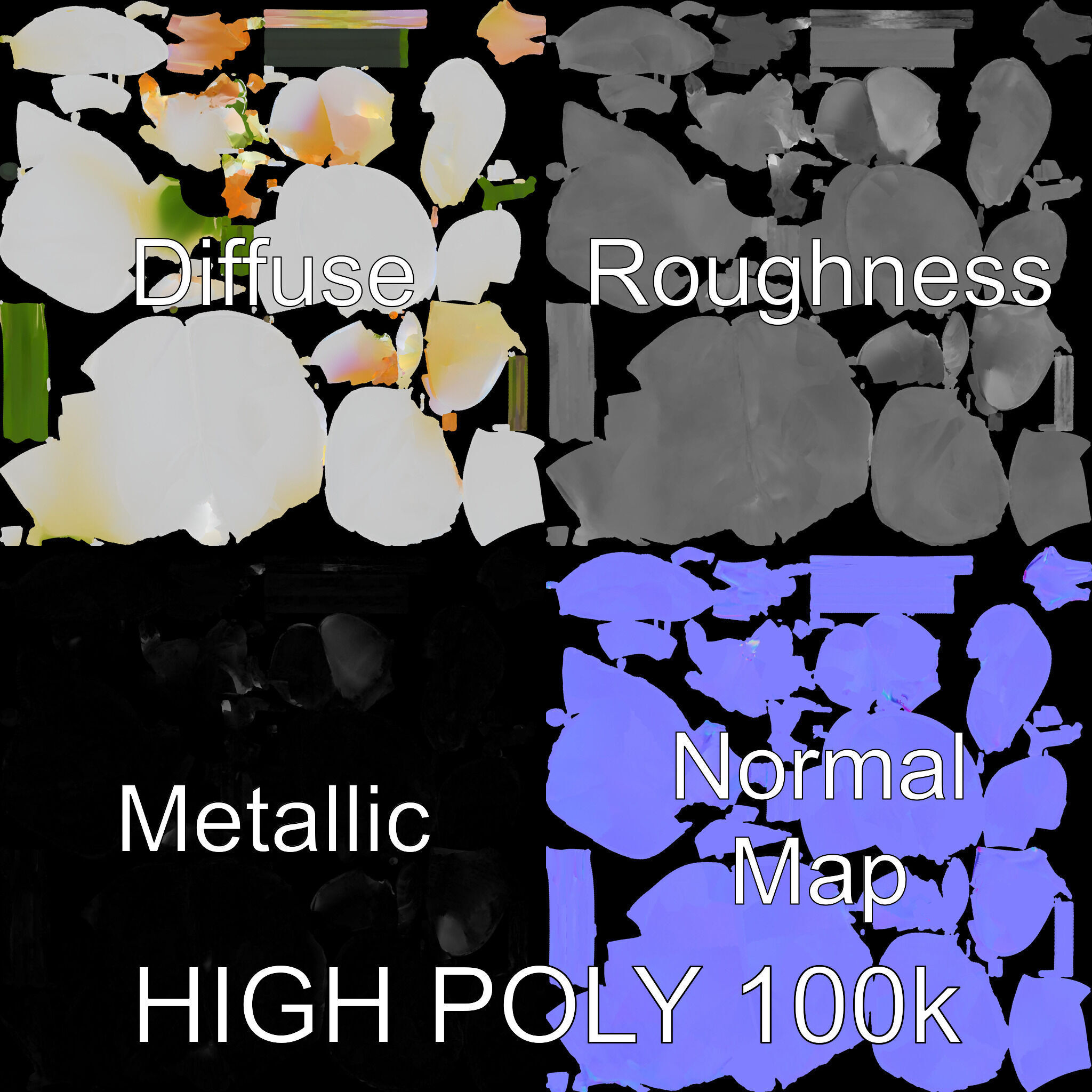 Elegant Orchid Flower D Model Pack Low-poly 3D model_2