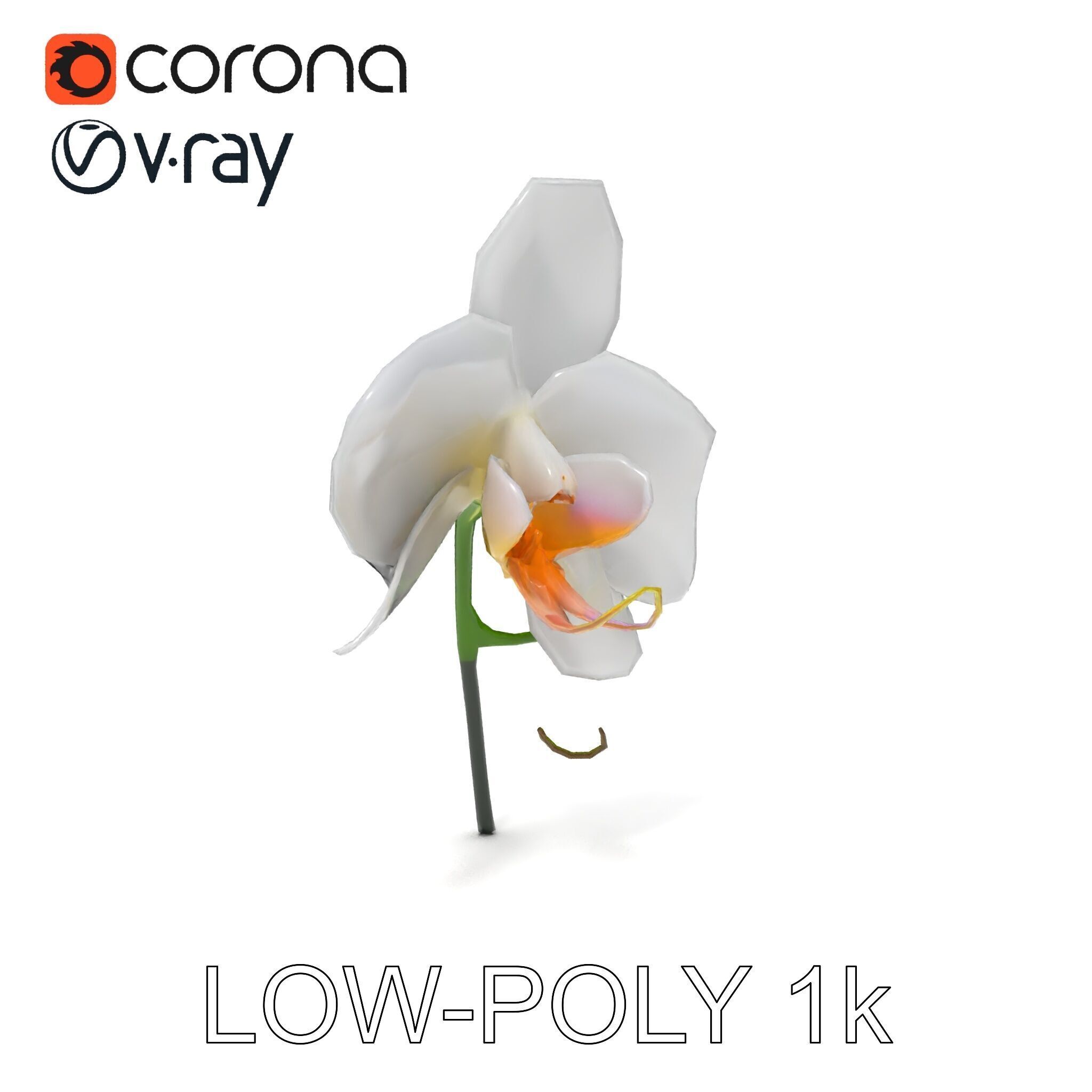 Elegant Orchid Flower D Model Pack Low-poly 3D model_12