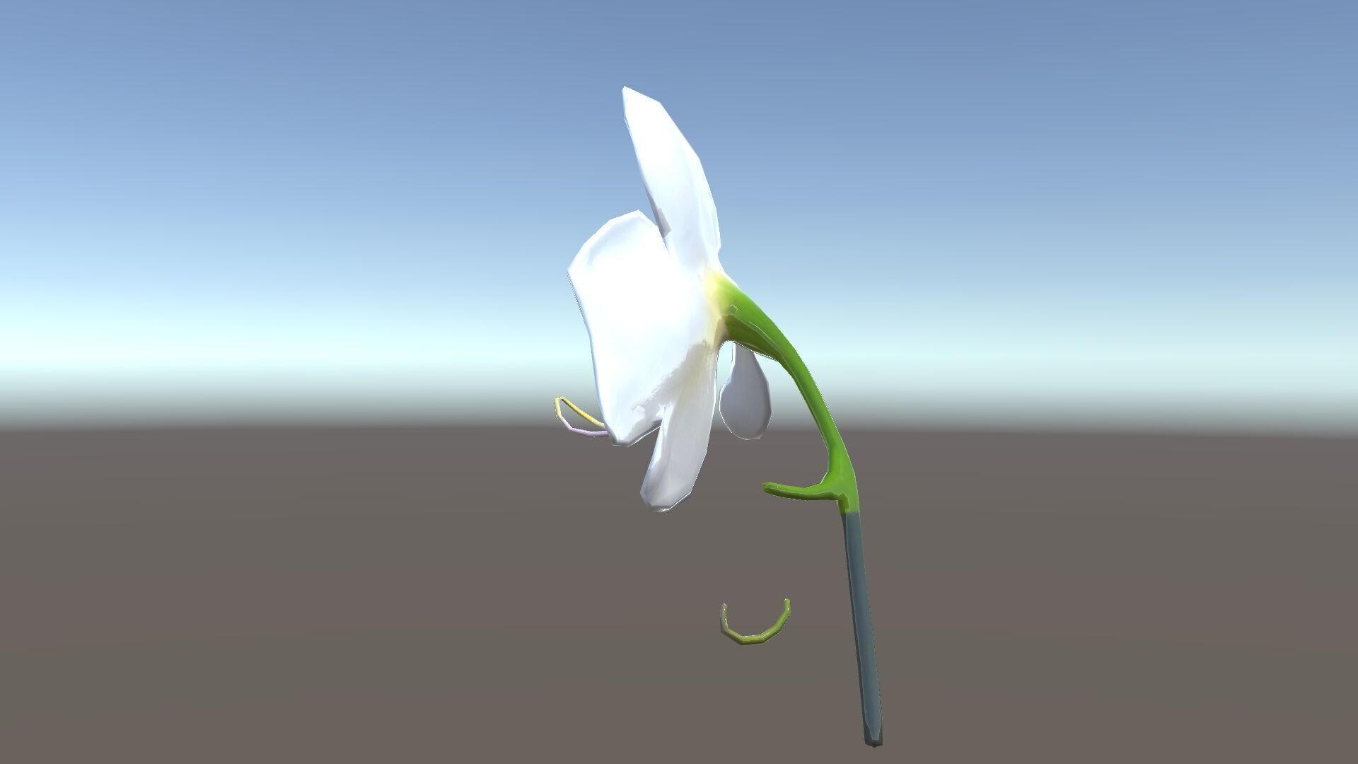 Elegant Orchid Flower D Model Pack Low-poly 3D model_19