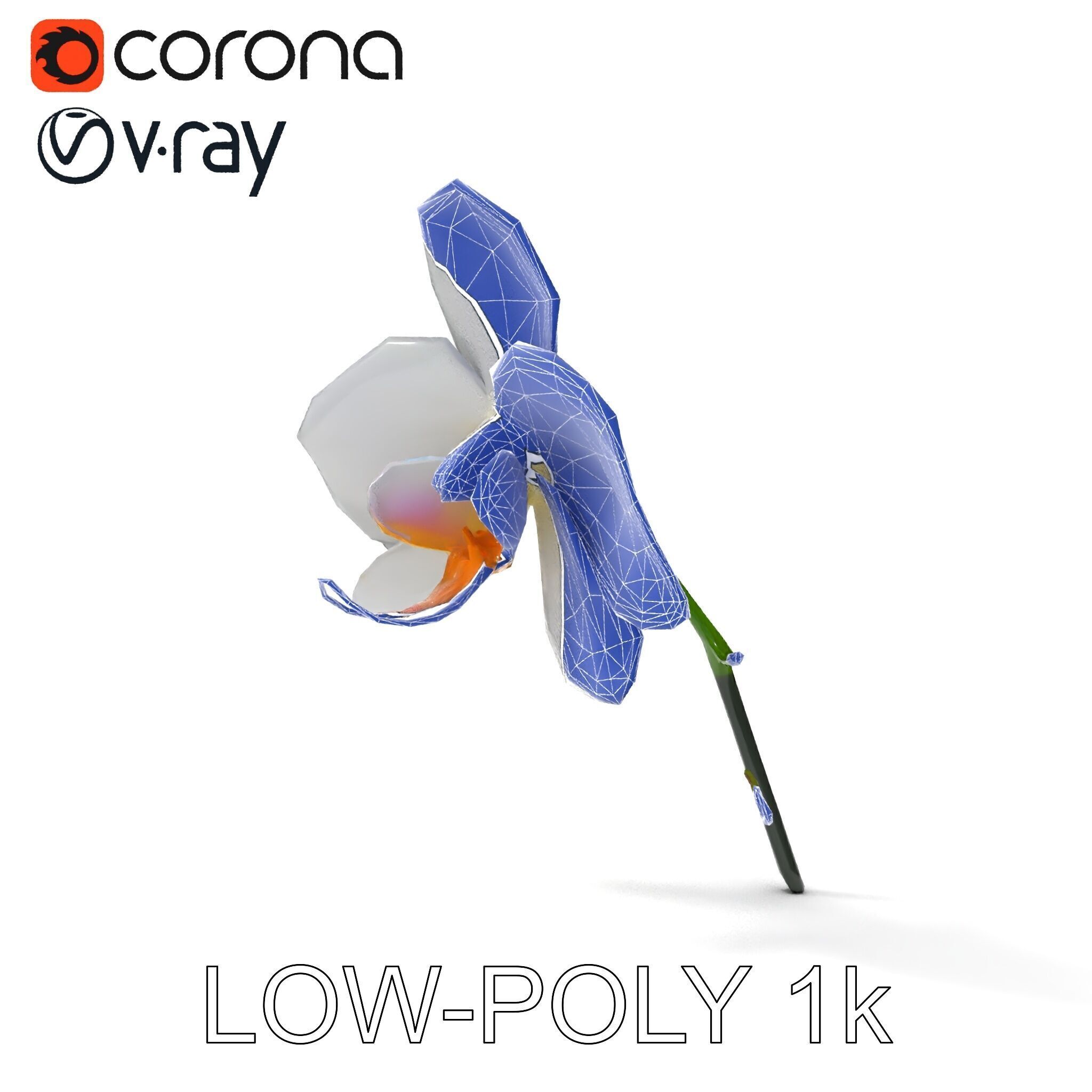 Elegant Orchid Flower D Model Pack Low-poly 3D model_25