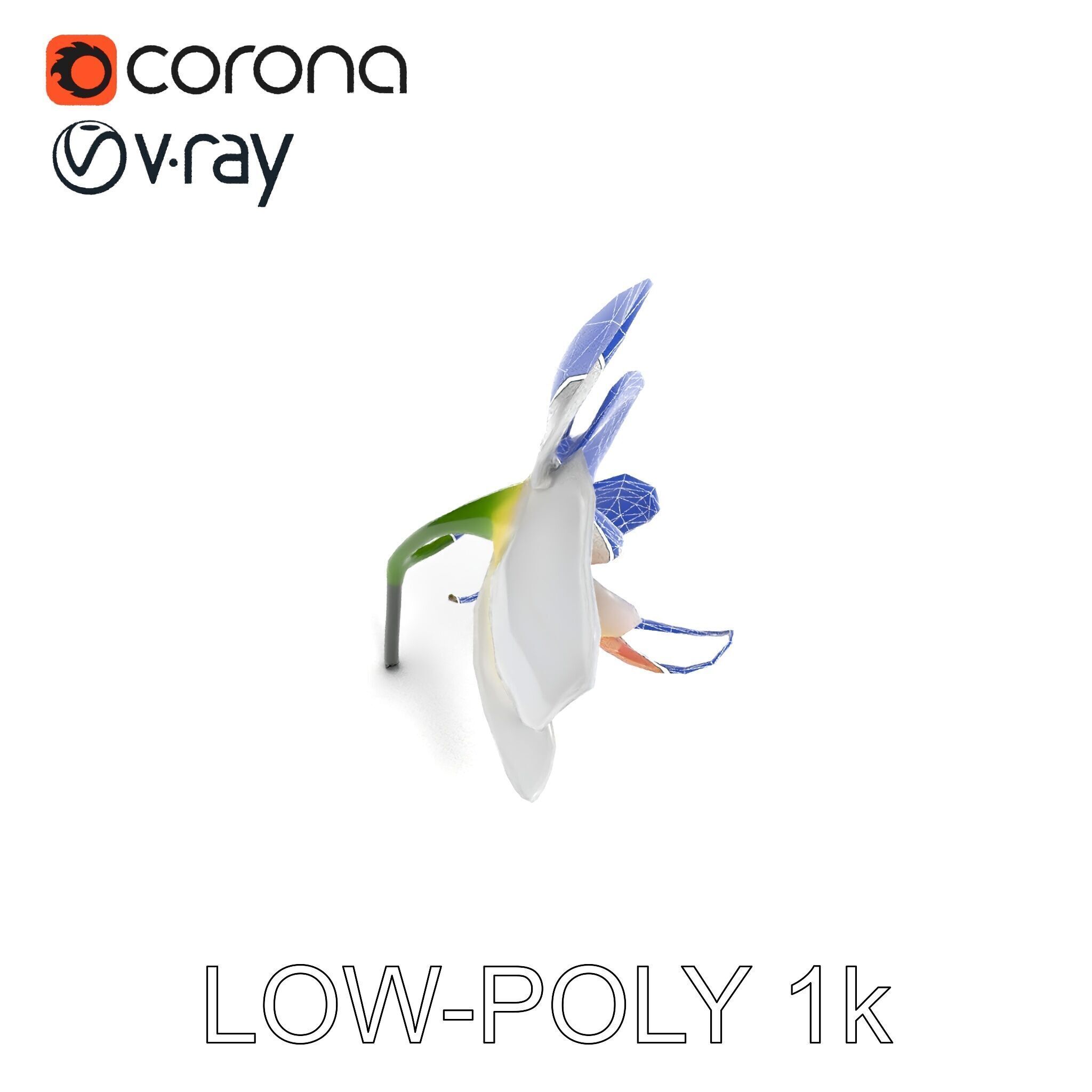 Elegant Orchid Flower D Model Pack Low-poly 3D model_33