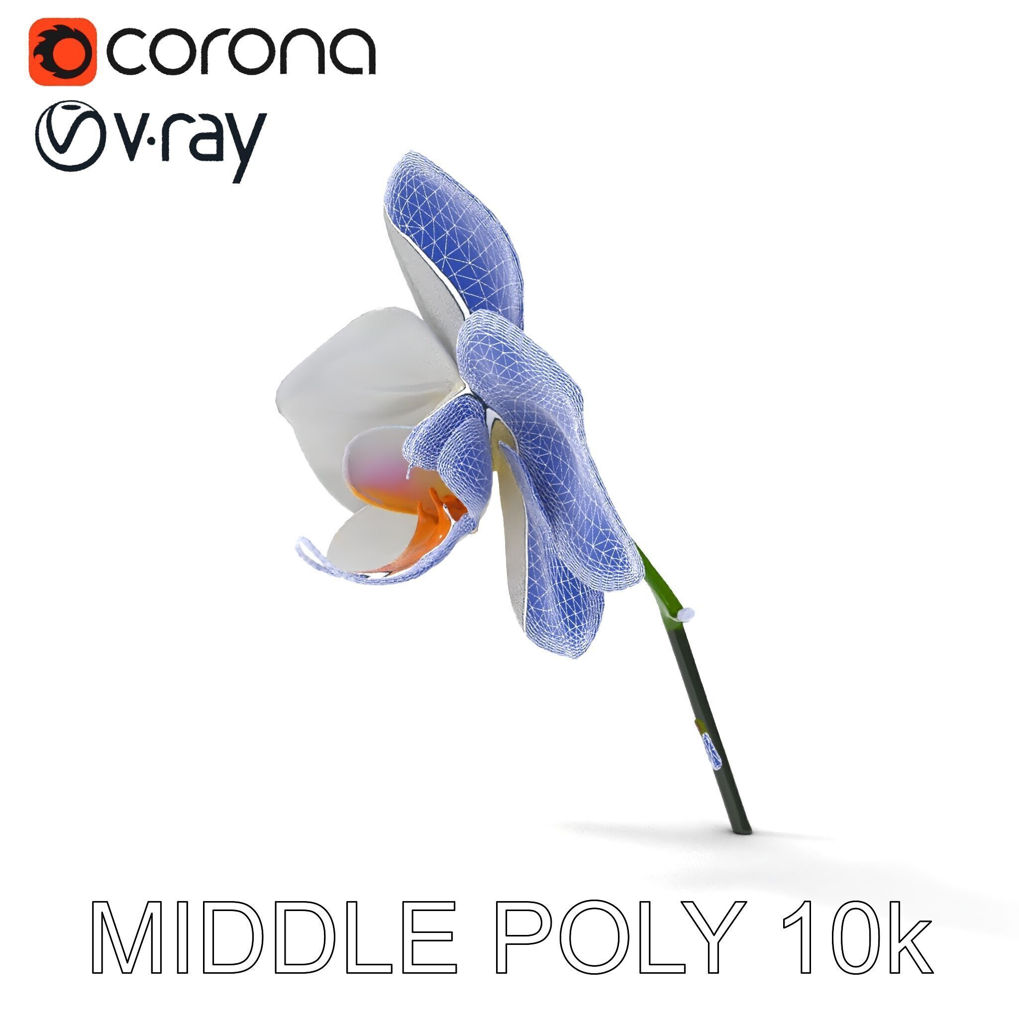Elegant Orchid Flower D Model Pack Low-poly 3D model_11
