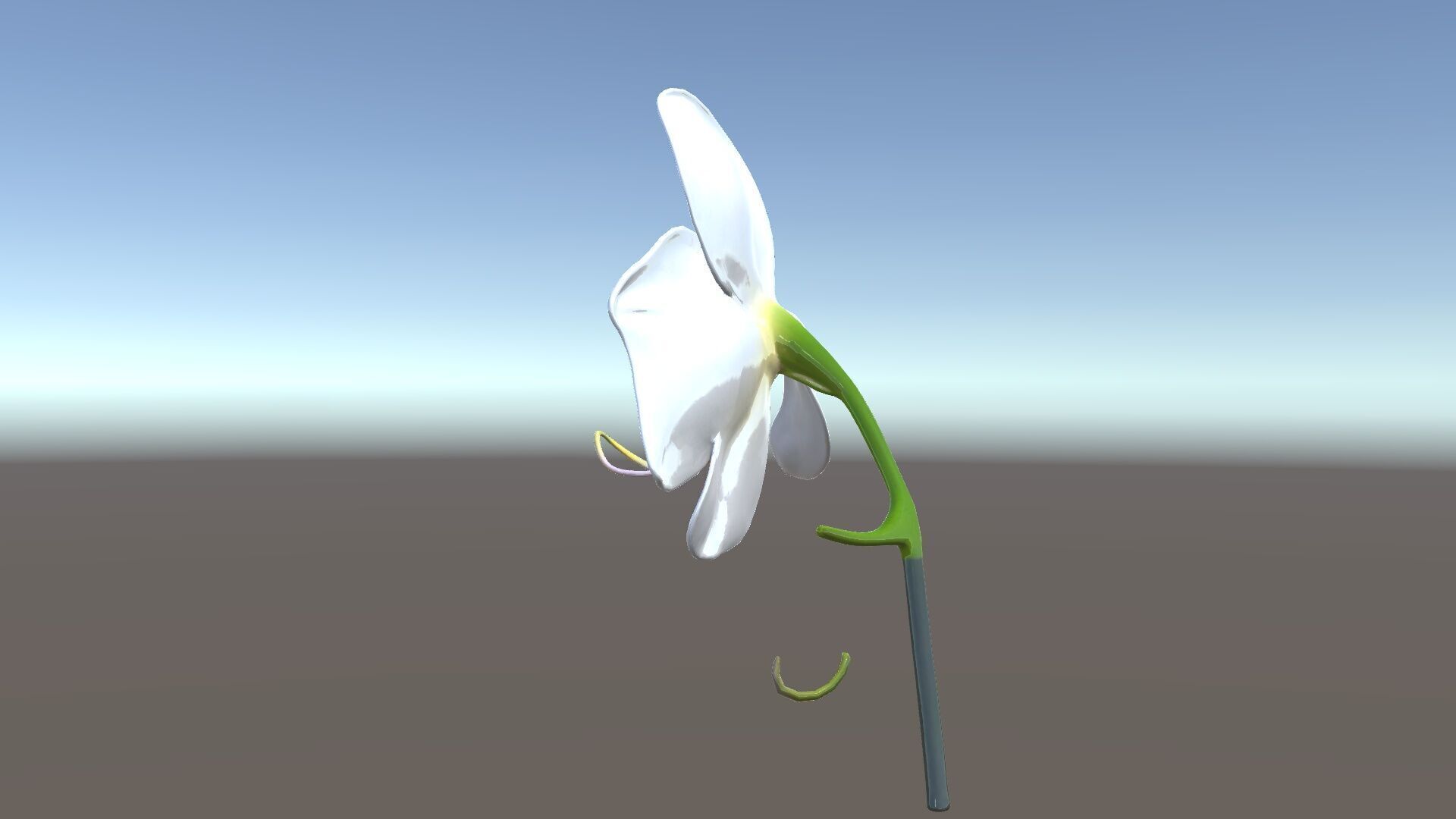 Elegant Orchid Flower D Model Pack Low-poly 3D model_26