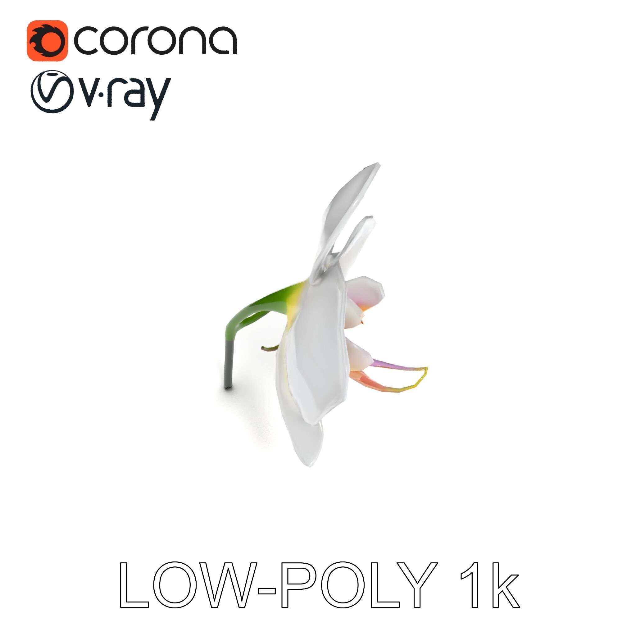 Elegant Orchid Flower D Model Pack Low-poly 3D model_22