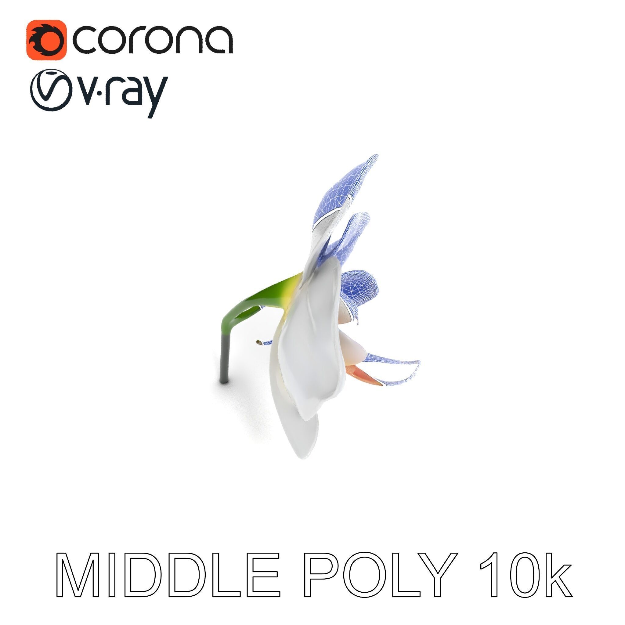 Elegant Orchid Flower D Model Pack Low-poly 3D model_24