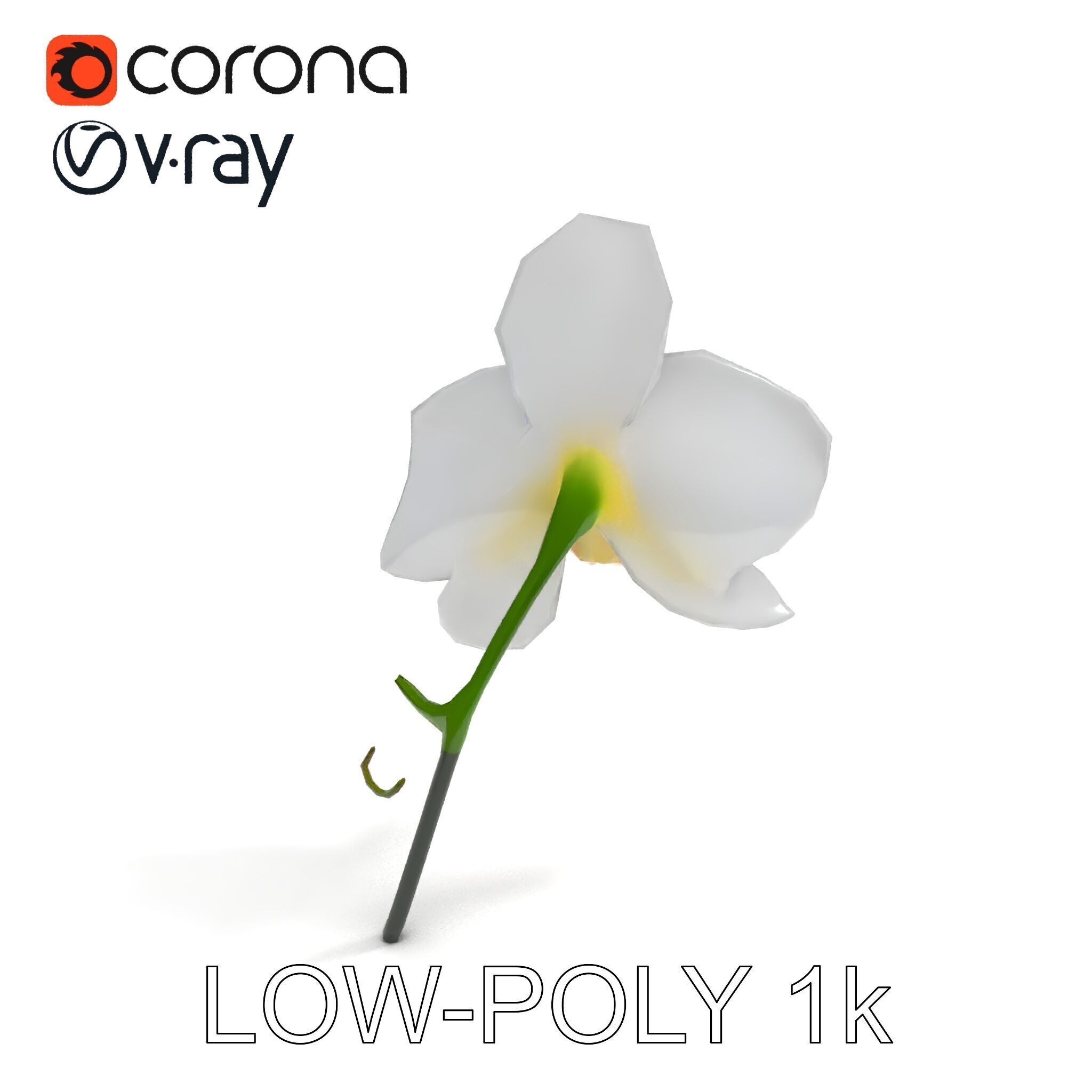 Elegant Orchid Flower D Model Pack Low-poly 3D model_16