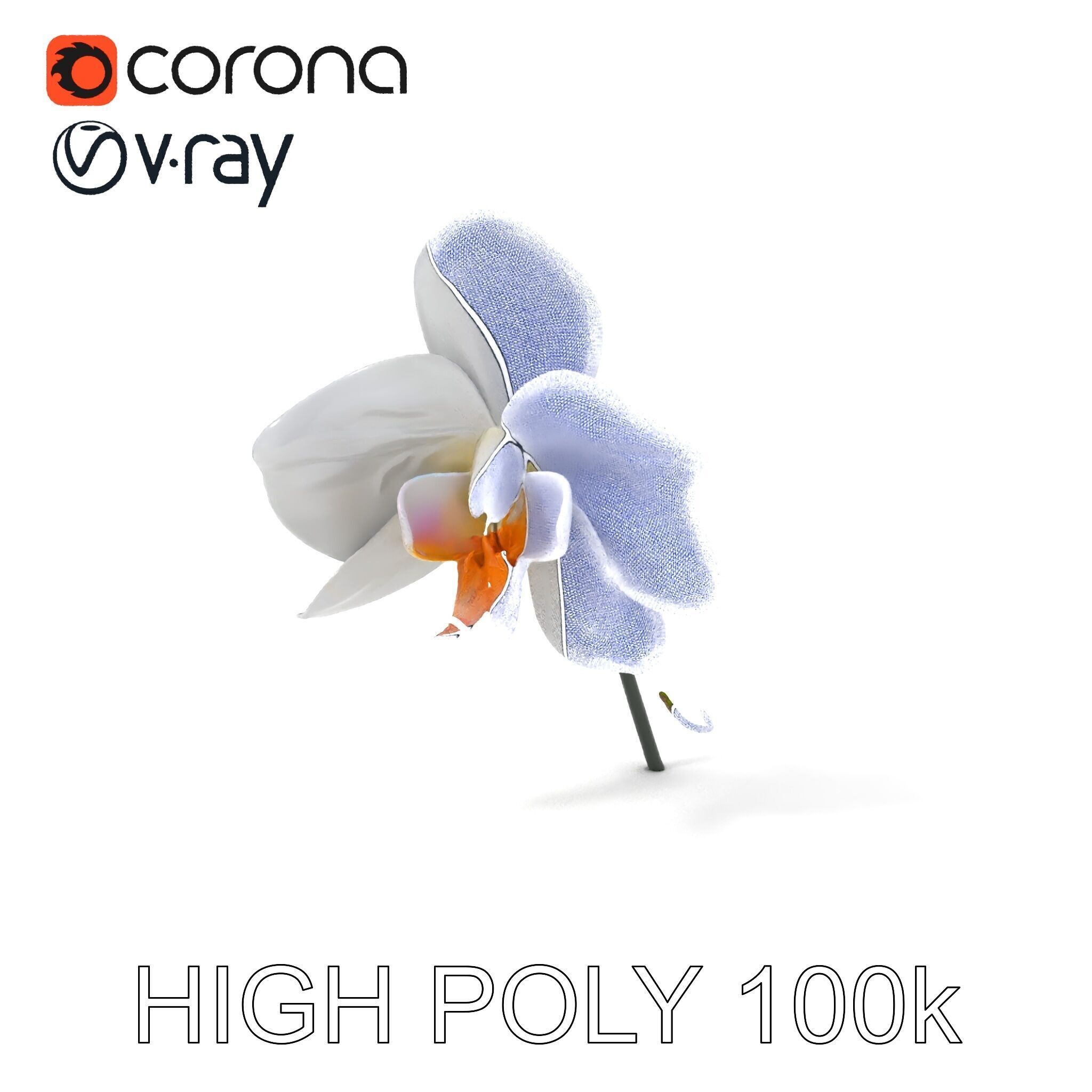 Elegant Orchid Flower D Model Pack Low-poly 3D model_3