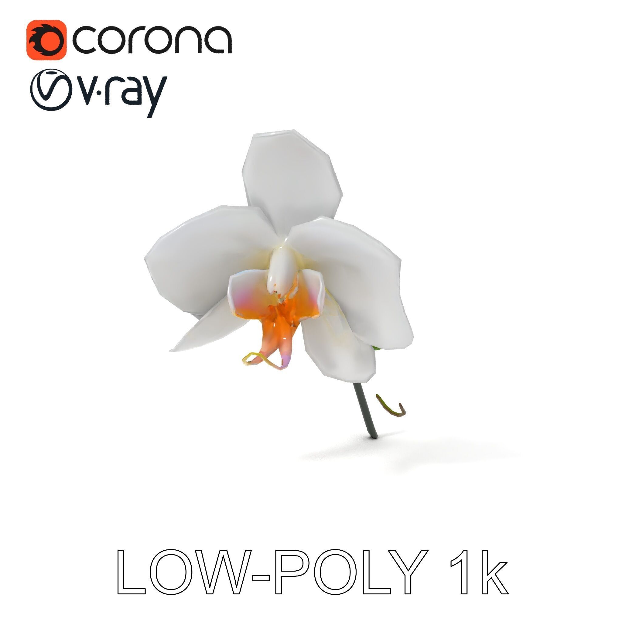 Elegant Orchid Flower D Model Pack Low-poly 3D model_10