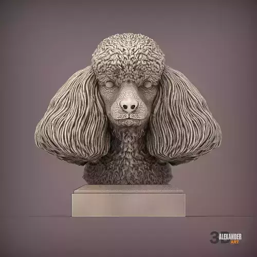 toy poodle bust 3D print model