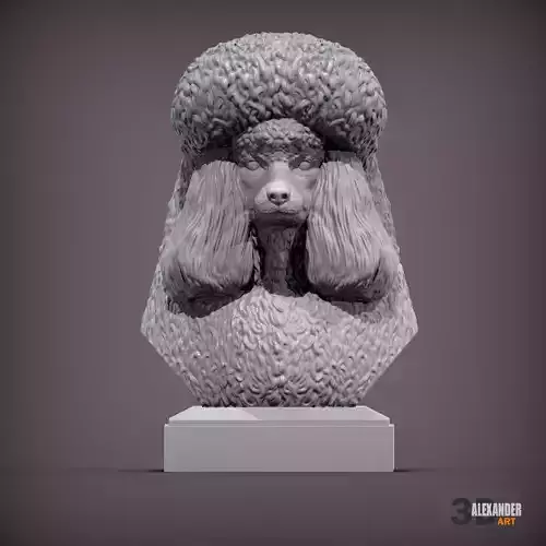 royal poodle bust 3D print model