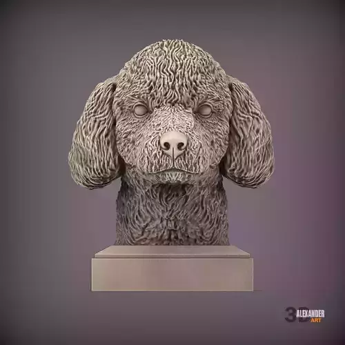 poodle bust