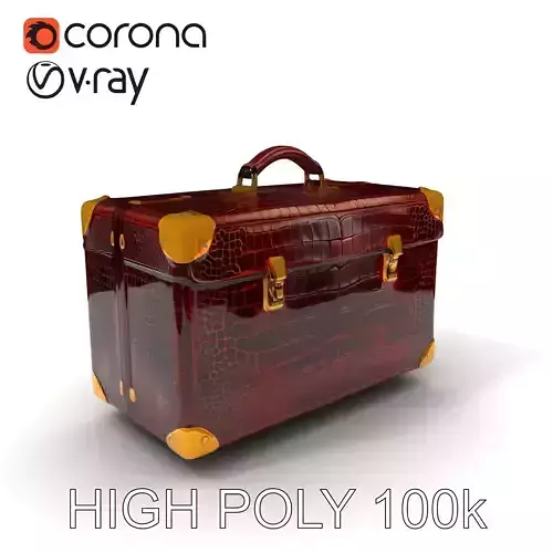 Luxurious Leather Suitcase Model Pack