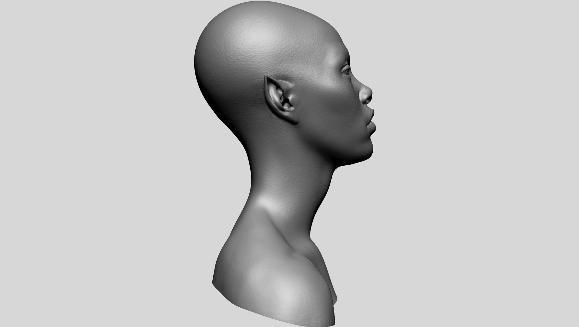 Fantasy Female Bust G 3D model_3