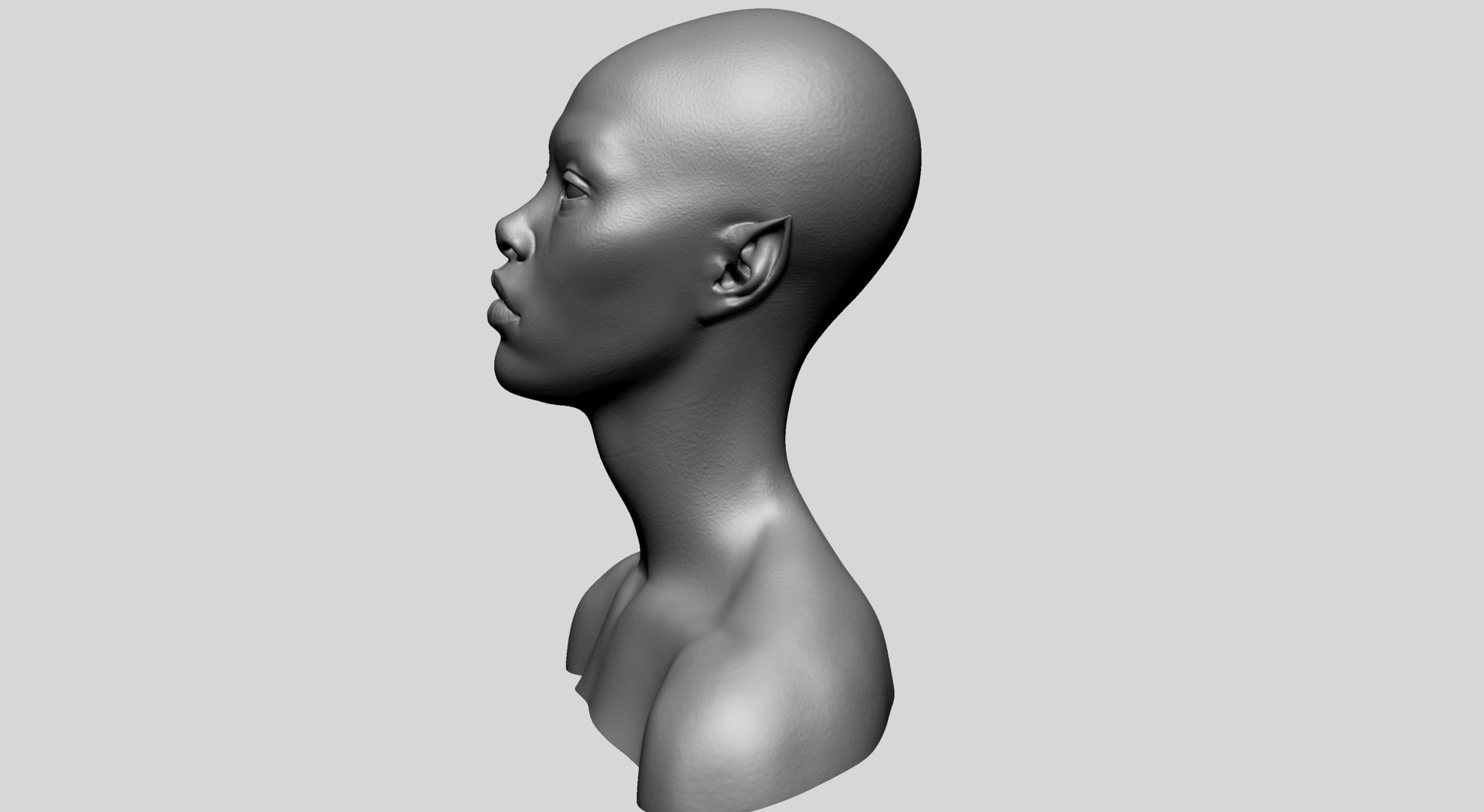 Fantasy Female Bust G 3D model_6
