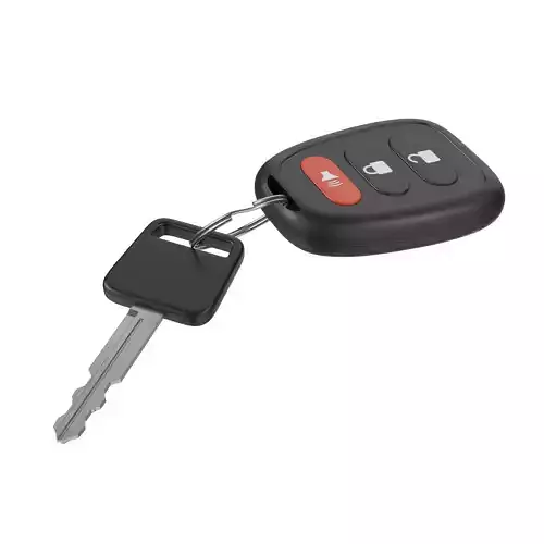 Car Key And Remote